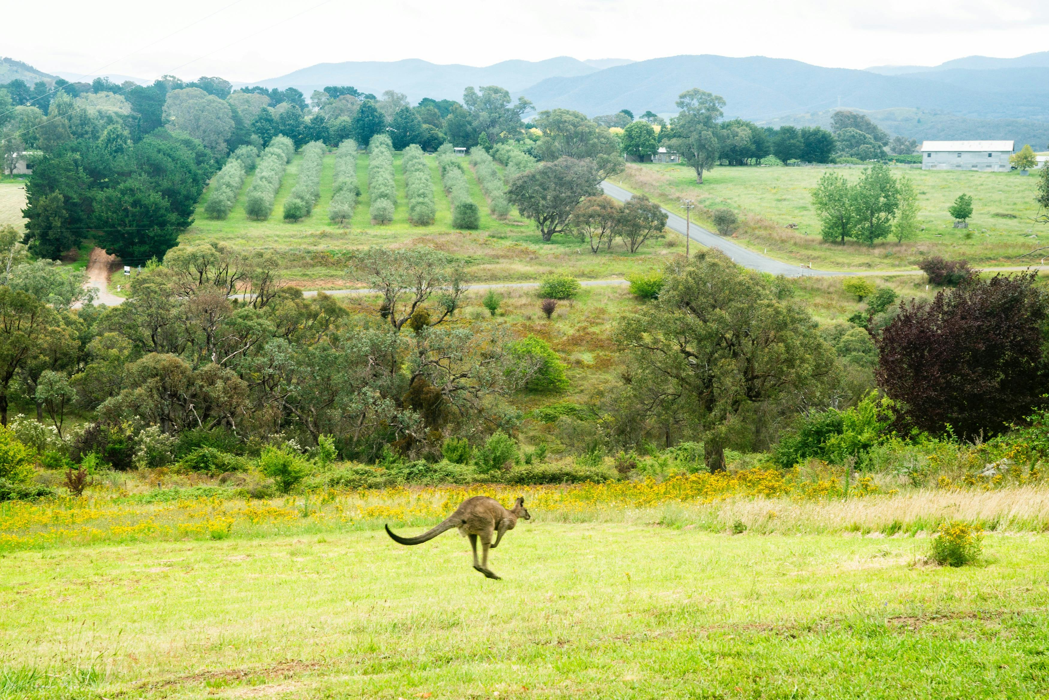 Image for Last Stop Ambledown Brook