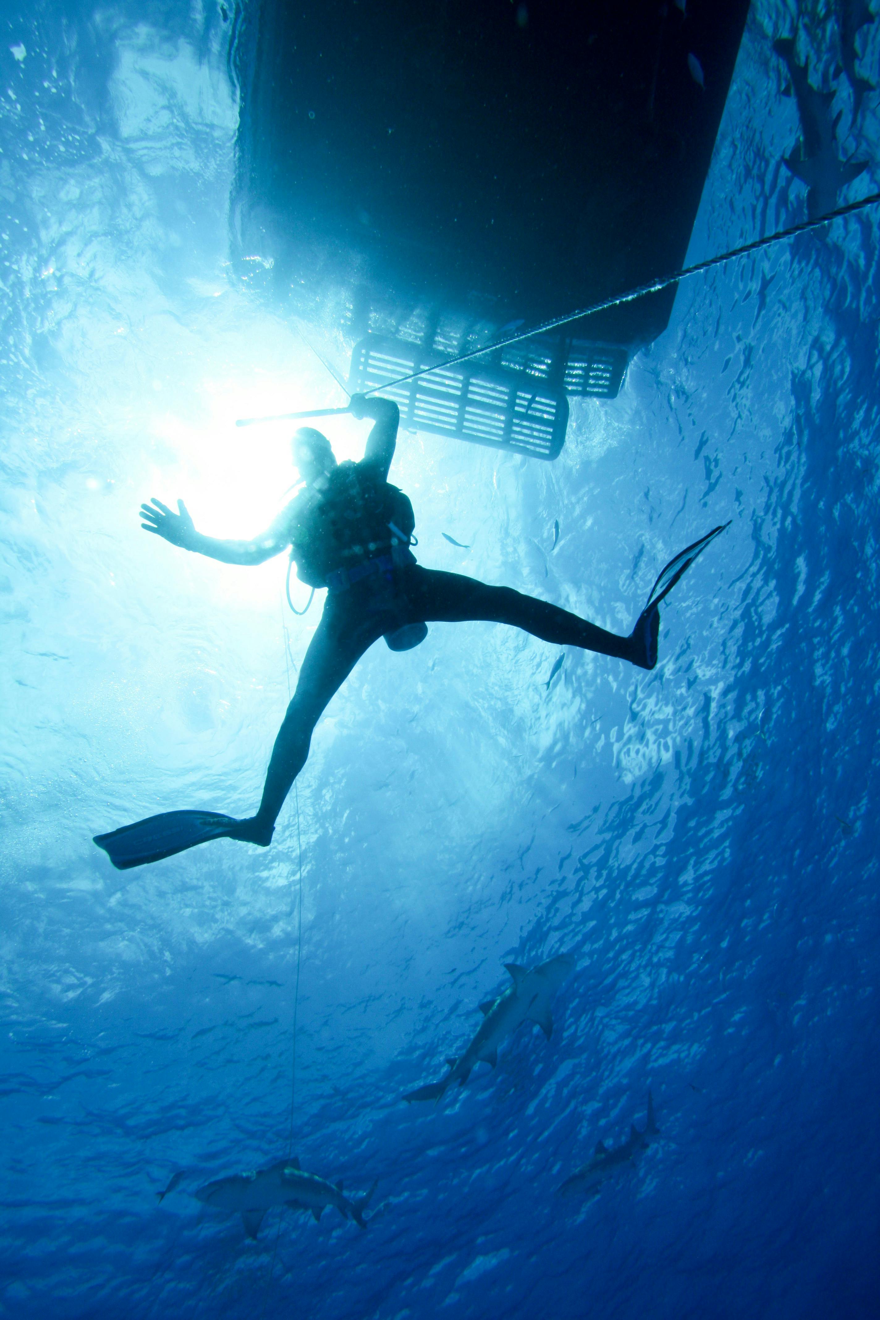 Pristine Outer Reef locations