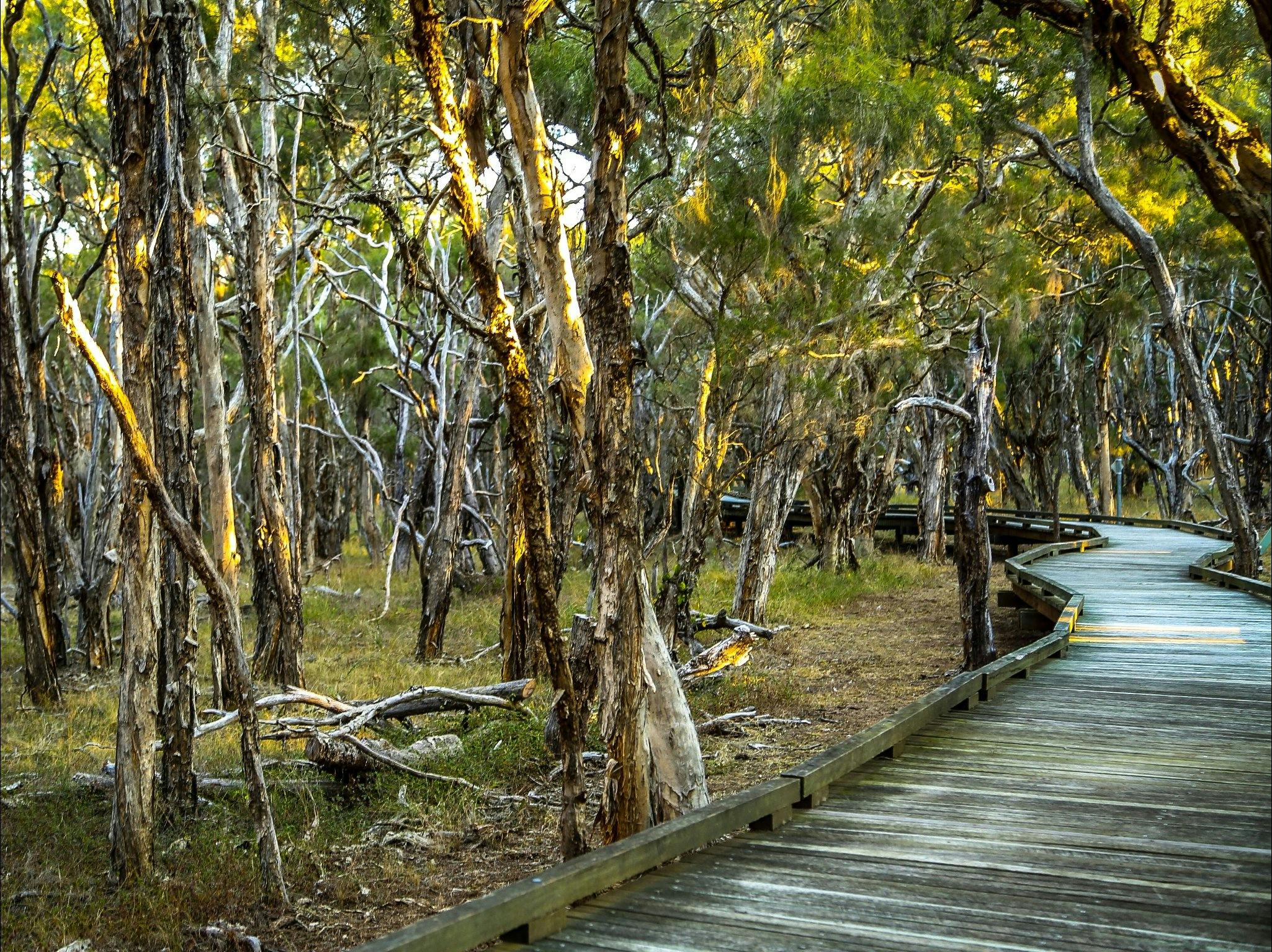 Purga Nature Reserve