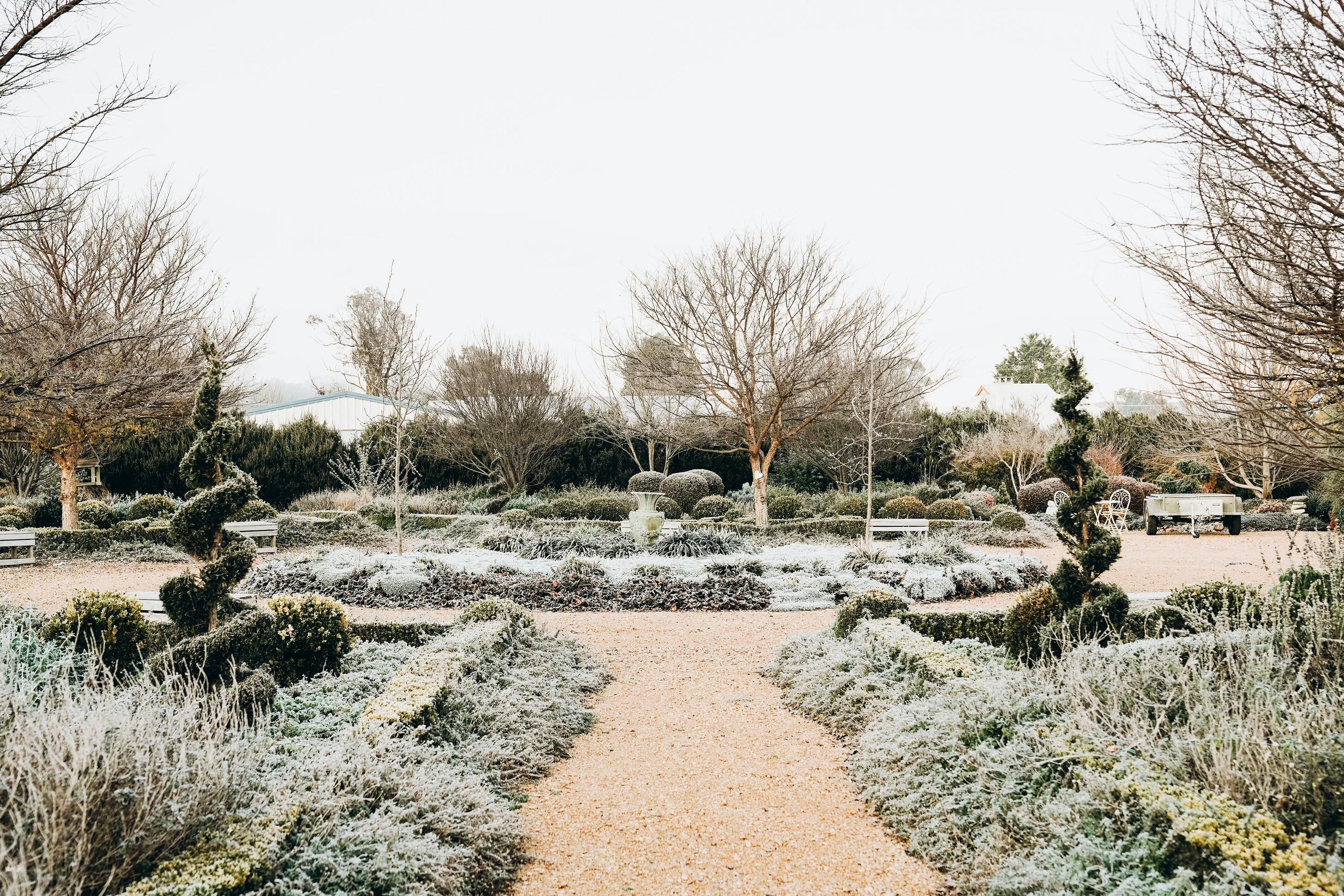 Our winter season transforms the garden into a magical wonderland