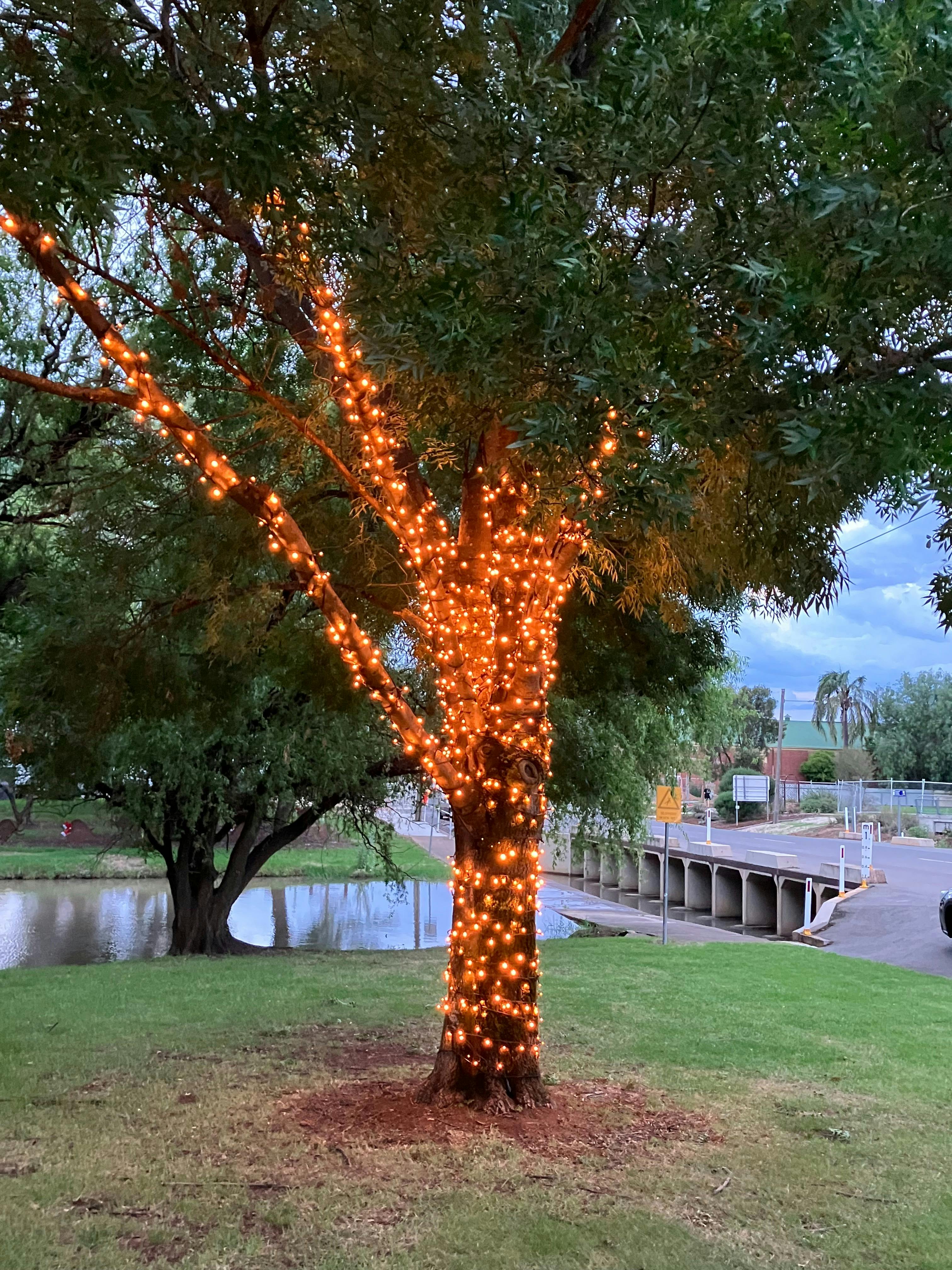 Lockhart Lions Light up Lockhart