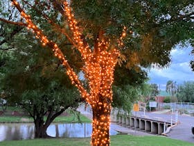 Lockhart Lions Light up Lockhart