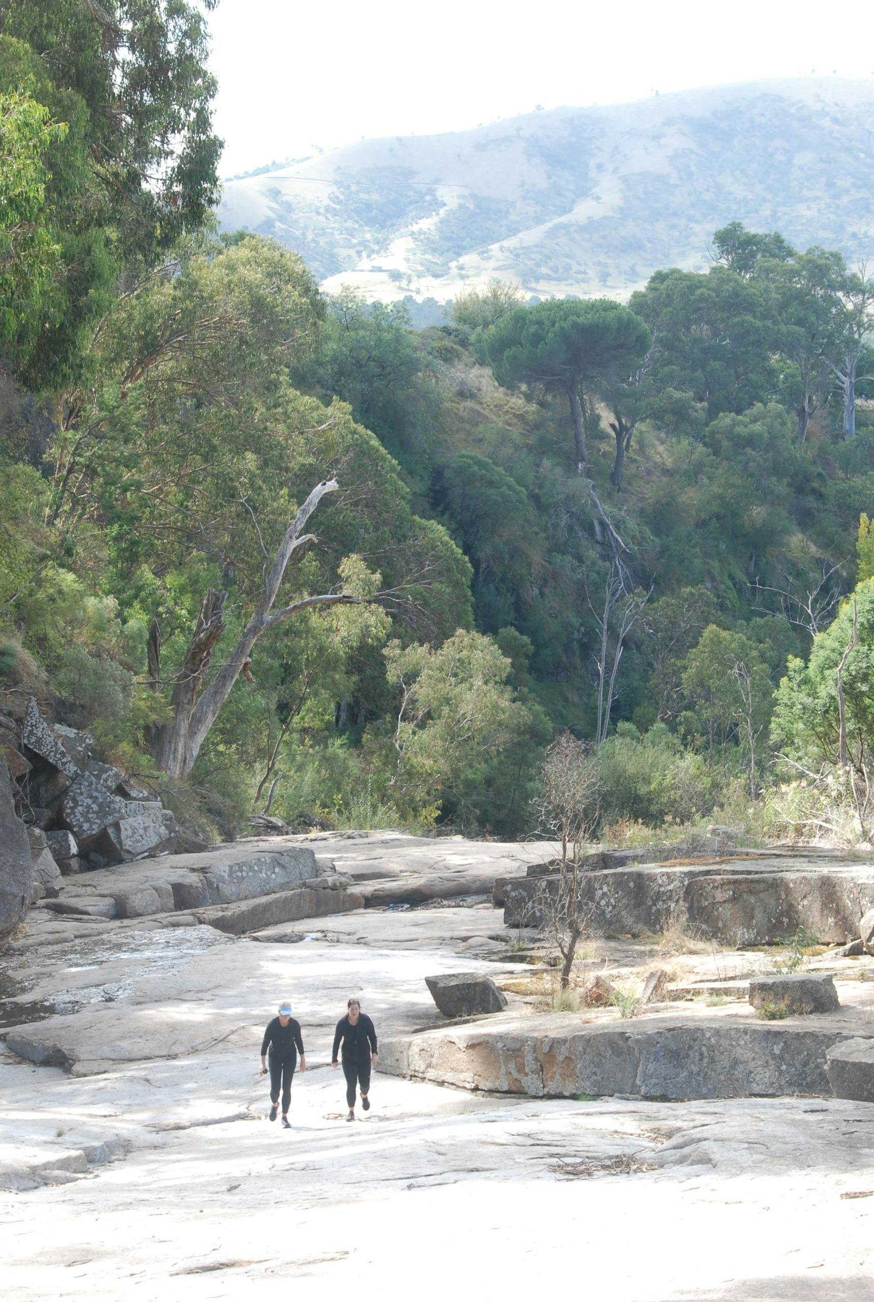 Hikers walking up the Gawarn Baring Track in Trawool, Victoria.