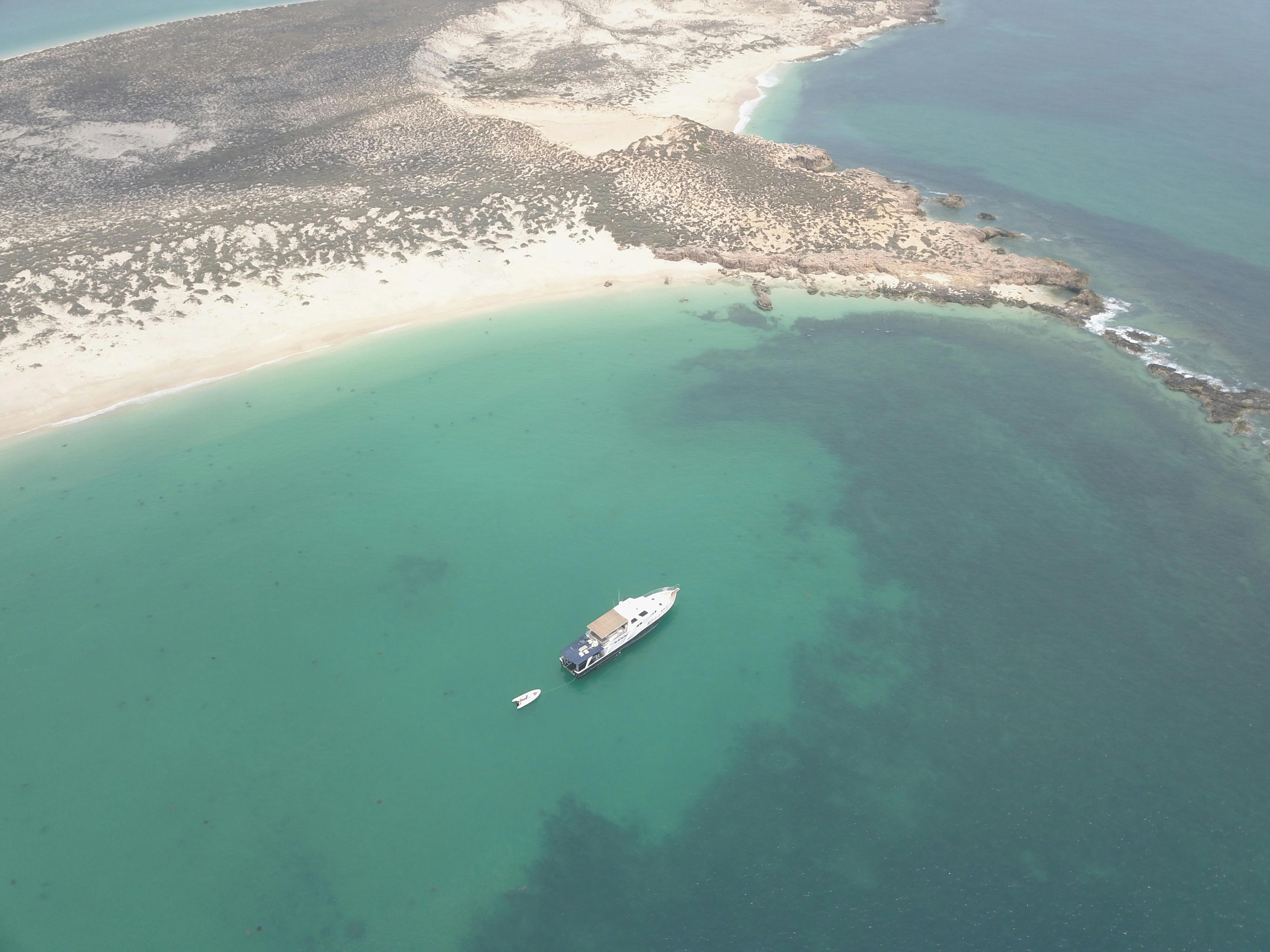 Blue Juice Charters