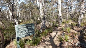 Cascades walking track and viewing platform