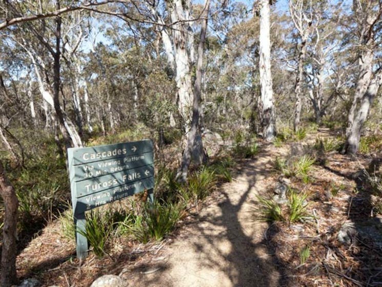 Cascades walking track and viewing platform