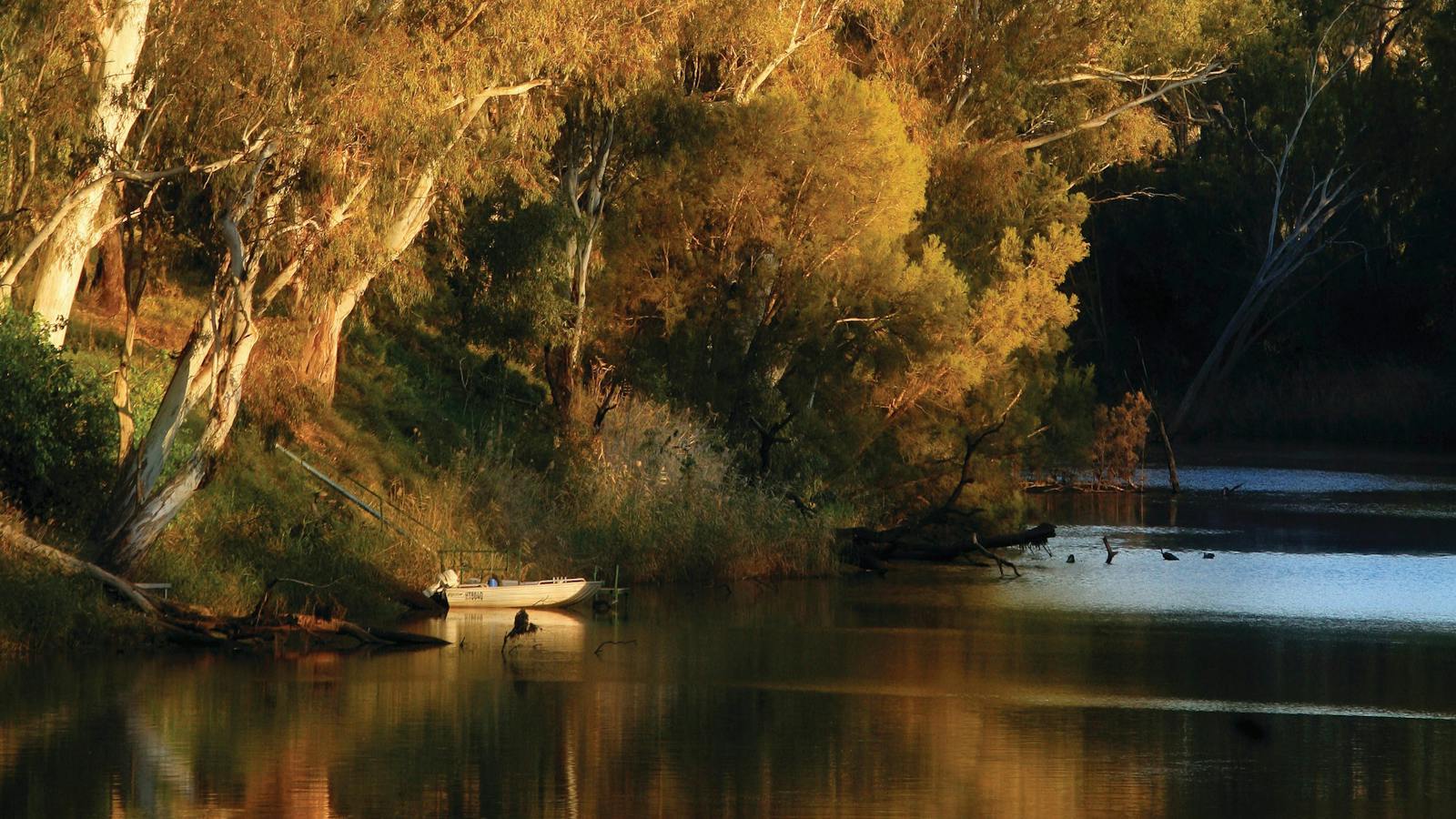 Goondiwindi