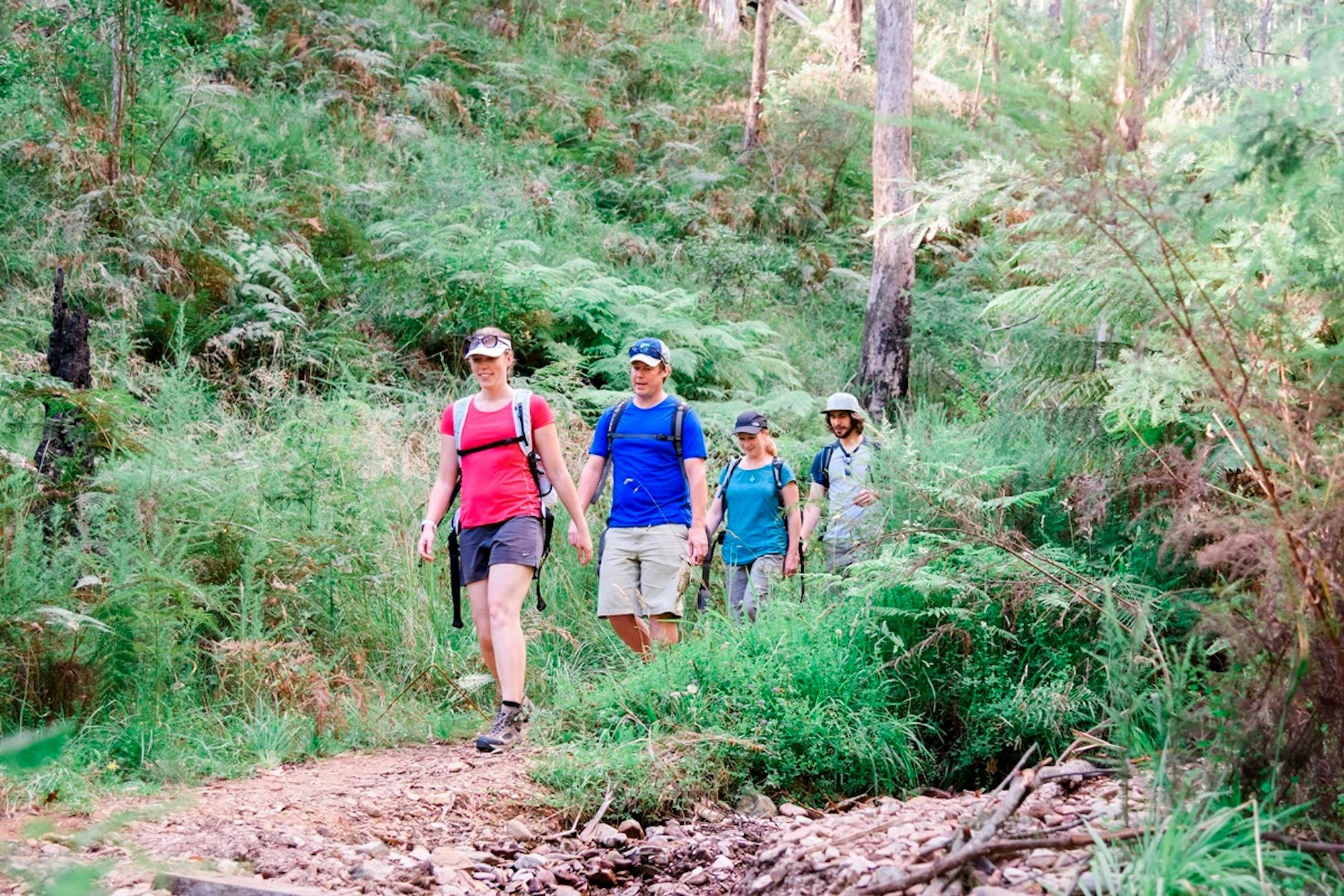 Harrietville