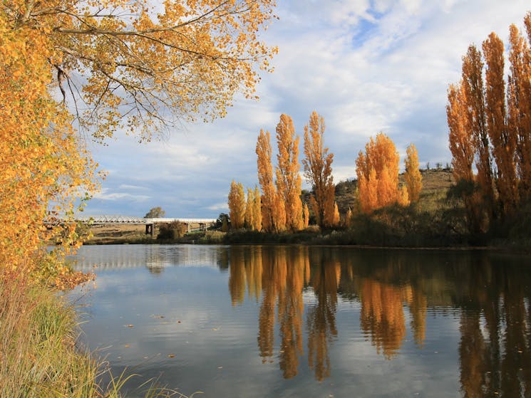 Snowy River in Autumn