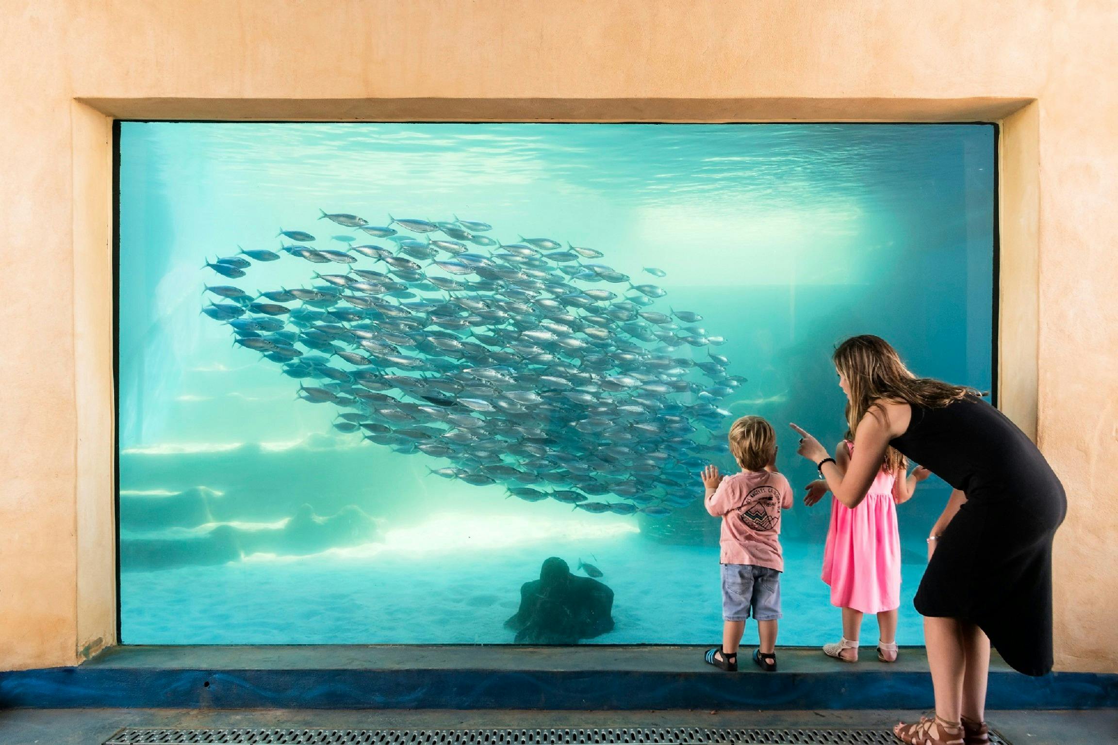 AQWA - The Aquarium of Western Australia