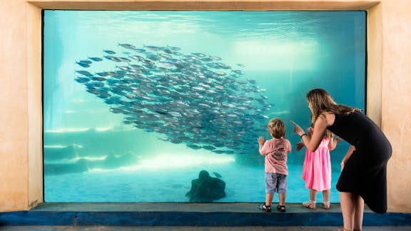 AQWA the Aquarium of Western Australia