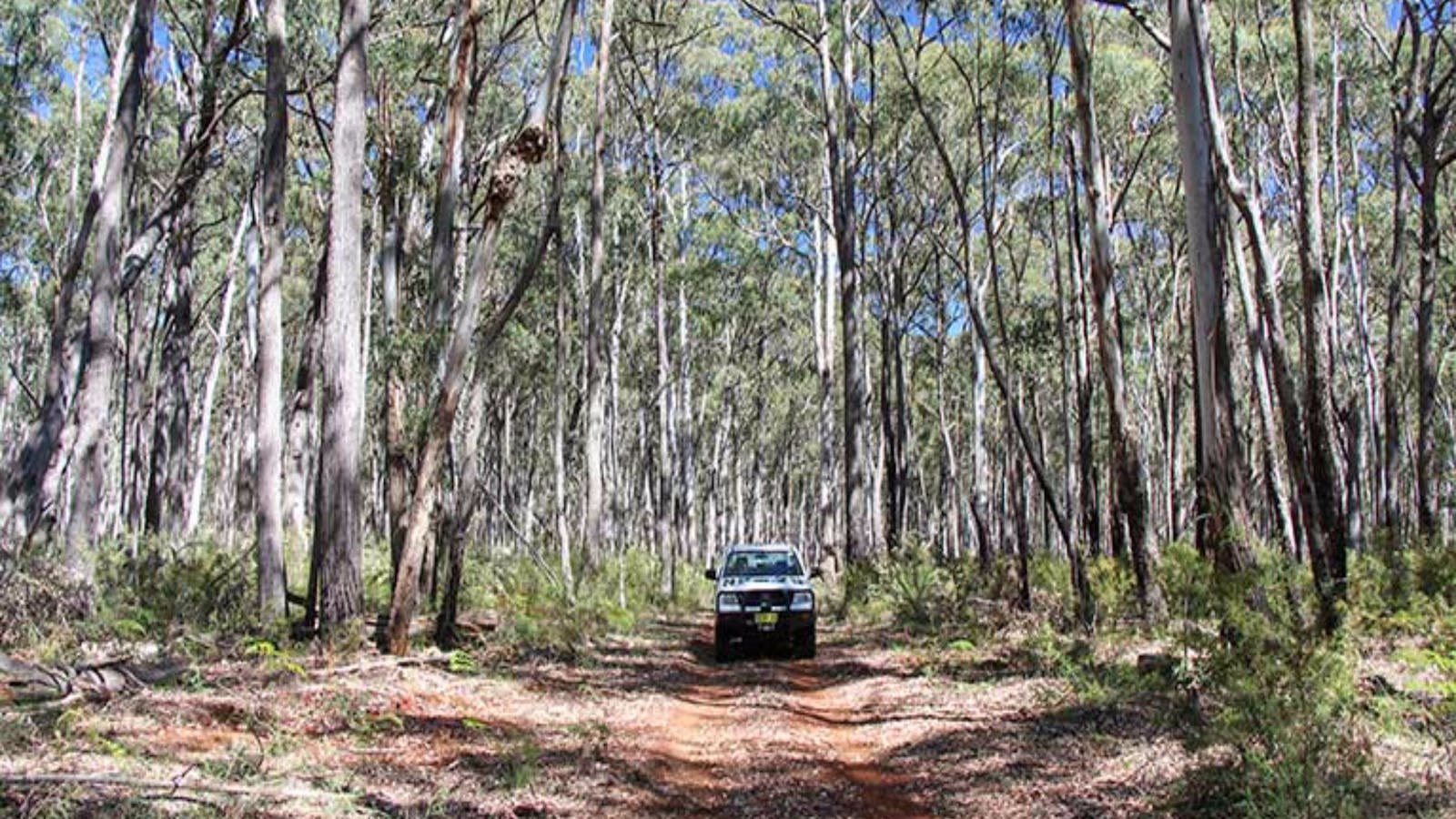 Barraba Track