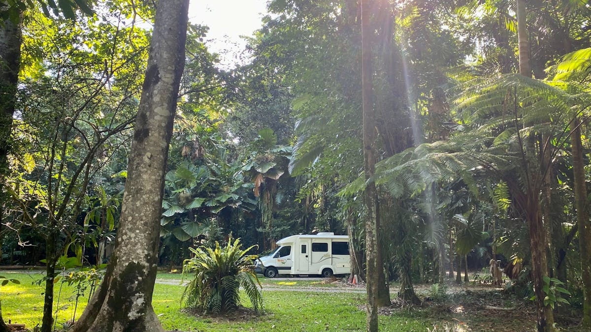 Campervan surrounded by rainforest with sun shining down