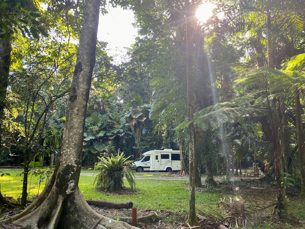 Campervan surrounded by rainforest with sun shining down