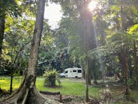 Campervan surrounded by rainforest with sun shining down