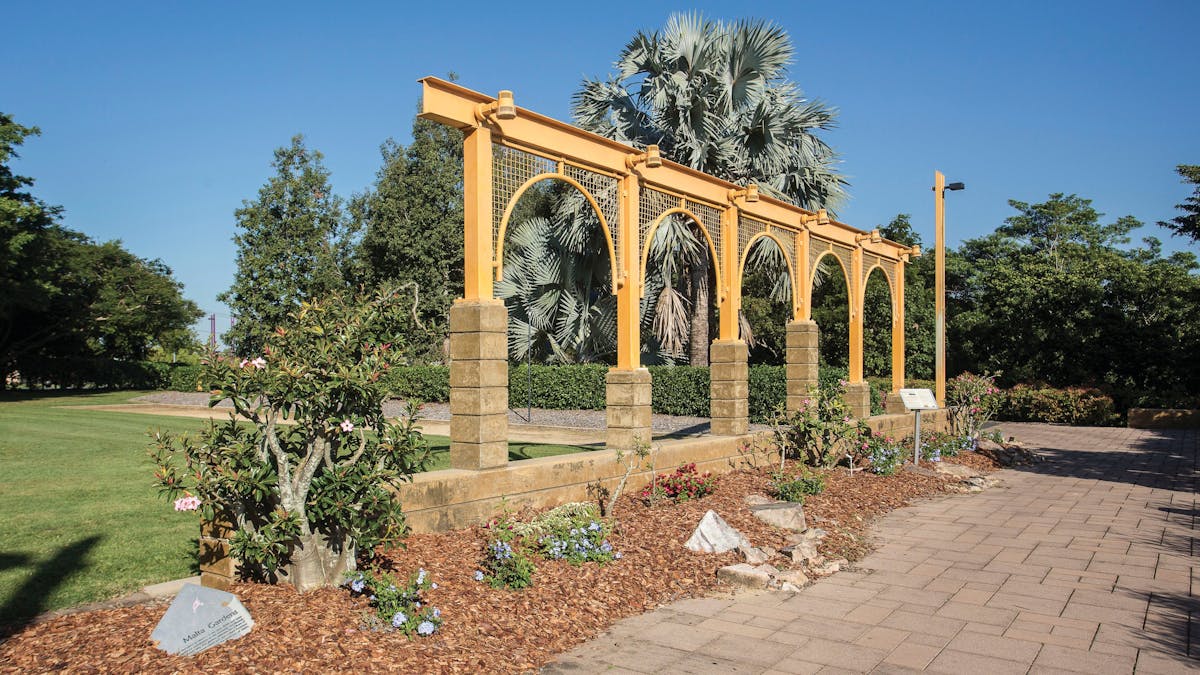 Malta Garden - Mackay Regional Botanic Gardens
