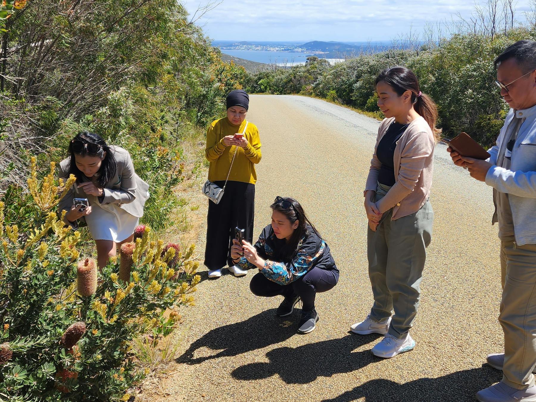 Guests photographing wildflowers on side of road near bushland