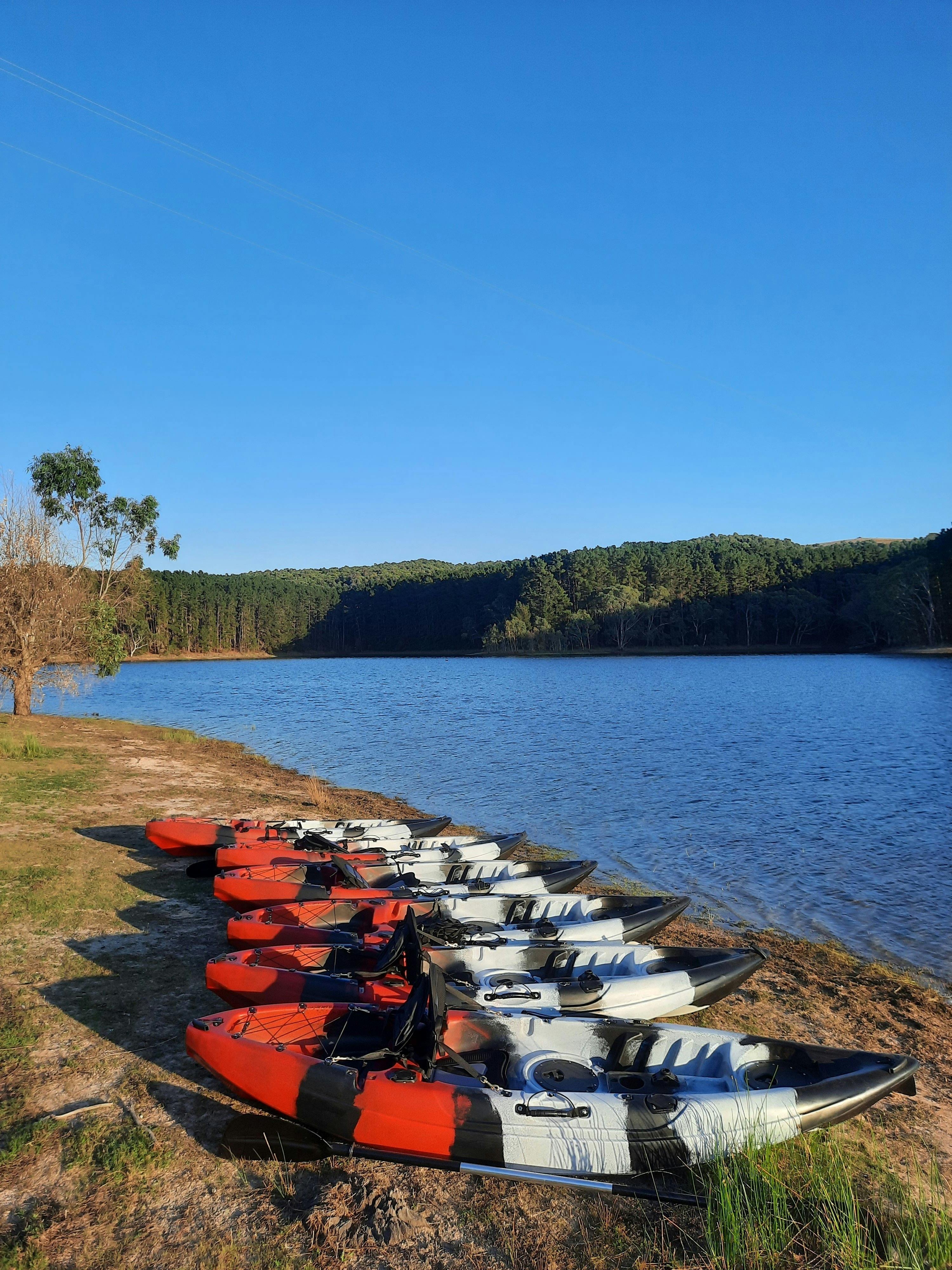 kayaks on the shoreline, for your convenience