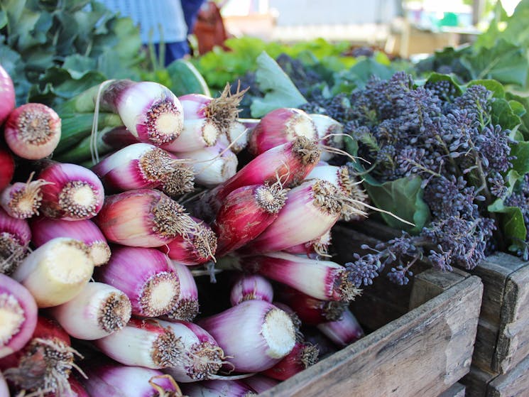 An image of fresh locally grown produce sold at the SAGE Farmers Market