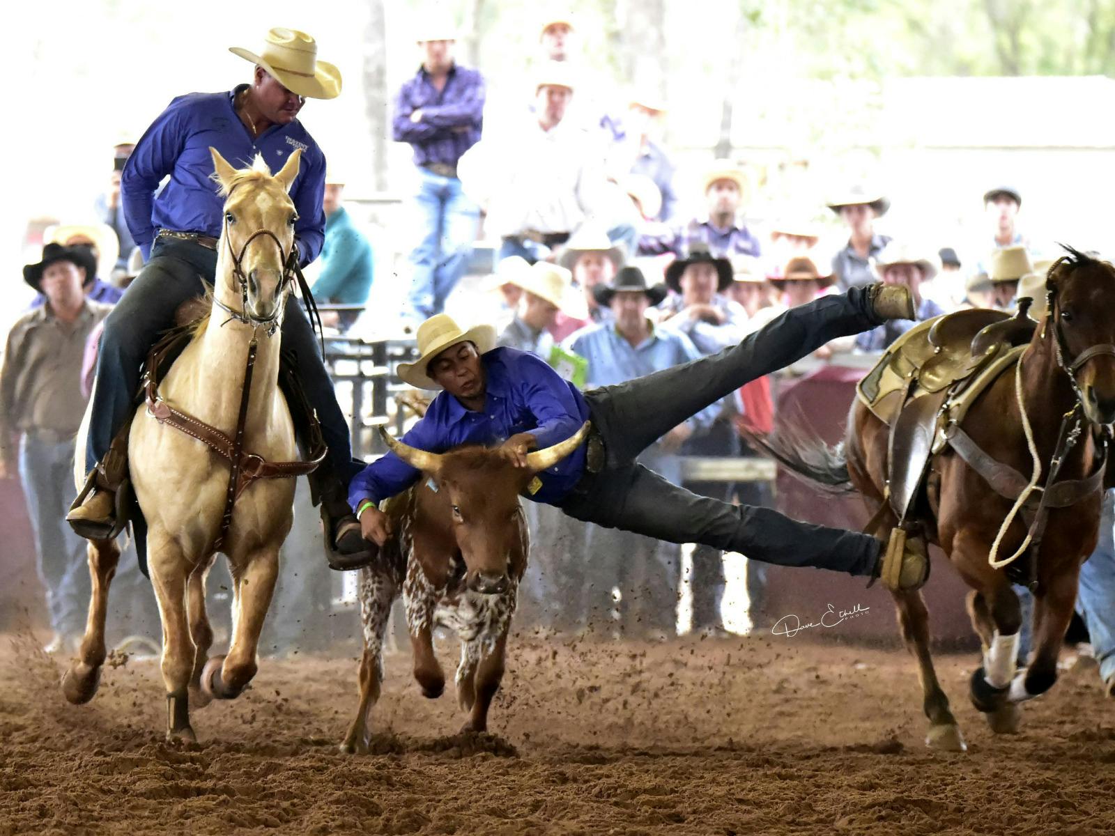 Nebo Rodeo