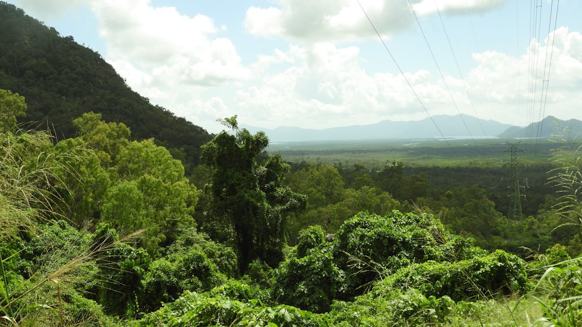 Cardwell Range