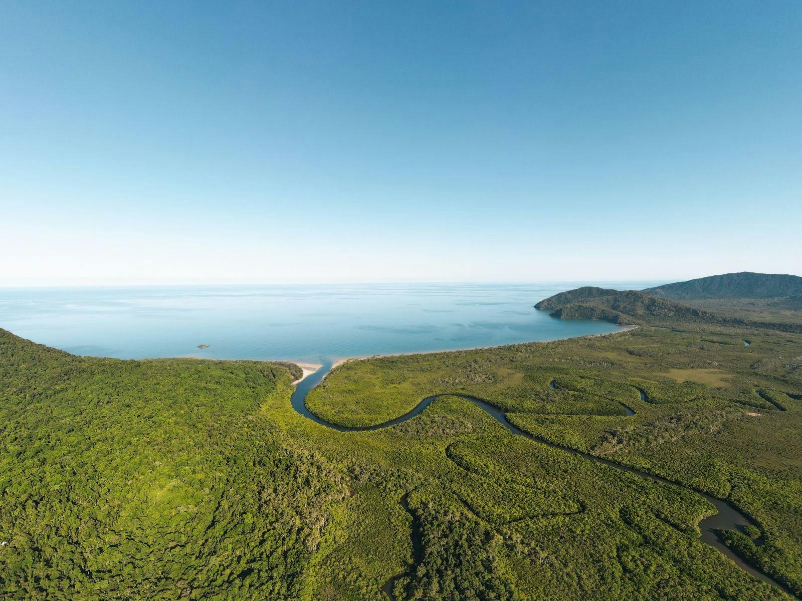 Daintree Daintree
