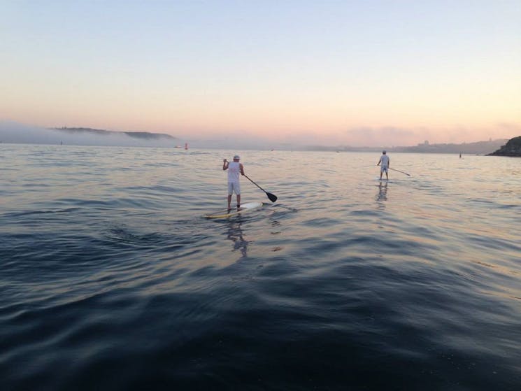 Stand up paddling, Sydney harbour