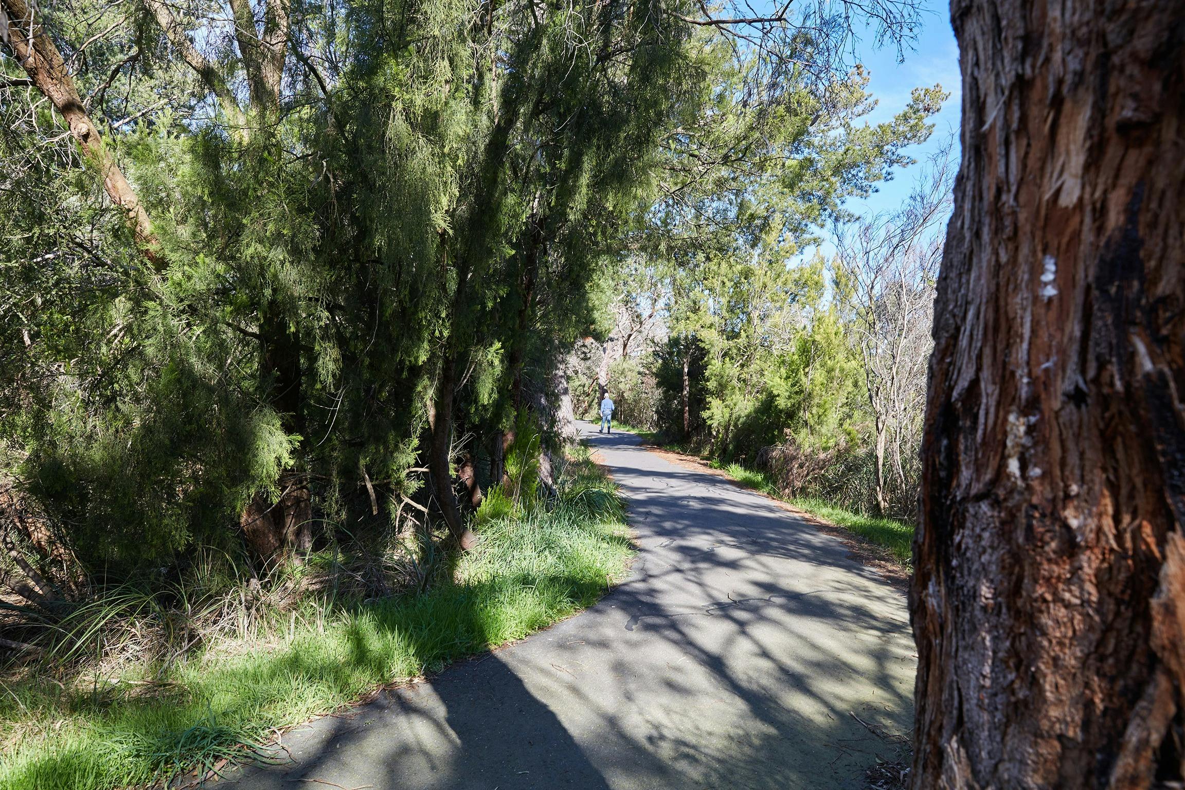 Bittern Trail - Cycling (part of the Western Port Bay Trail)