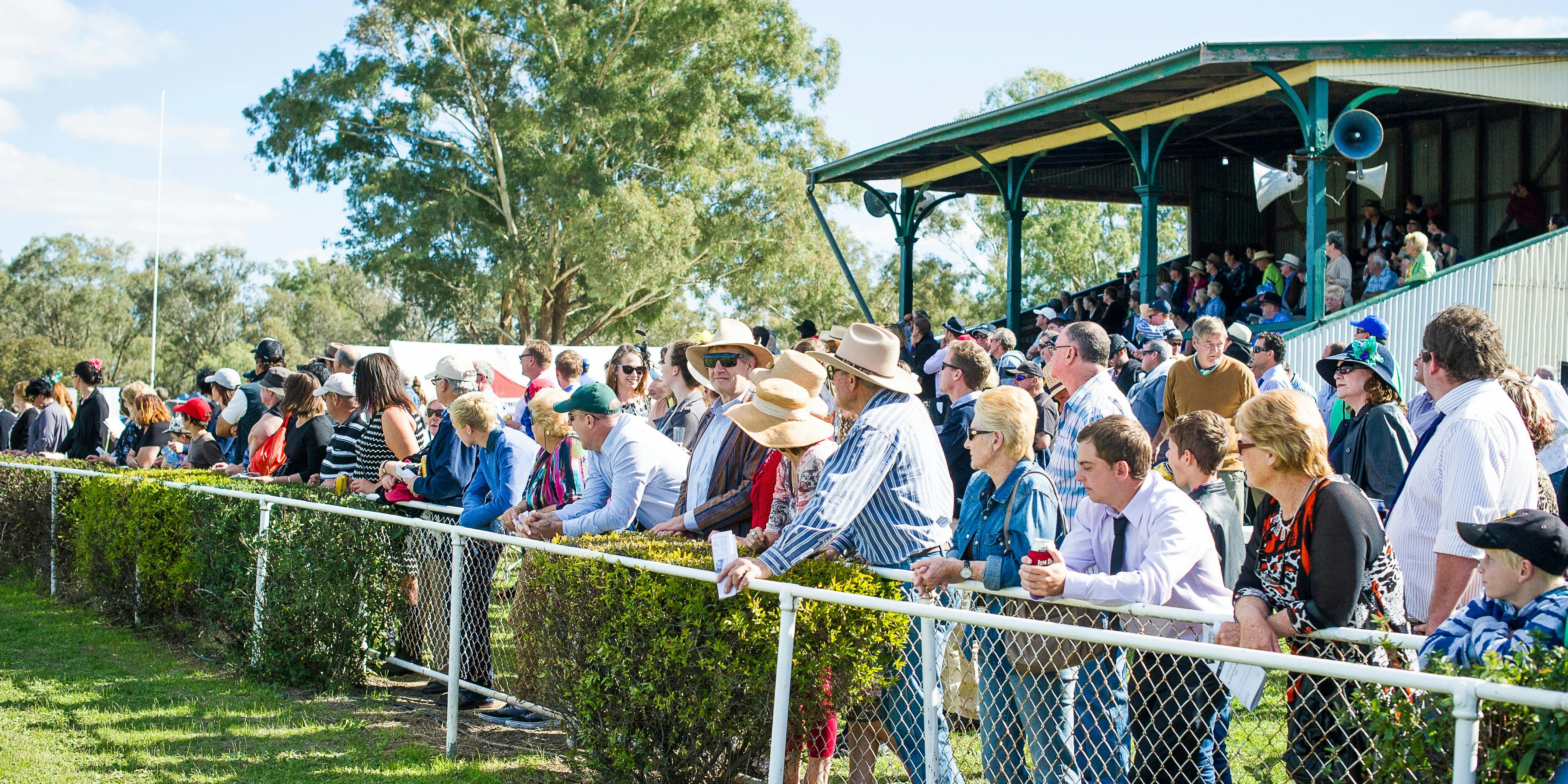 Grenfell Picnic Races