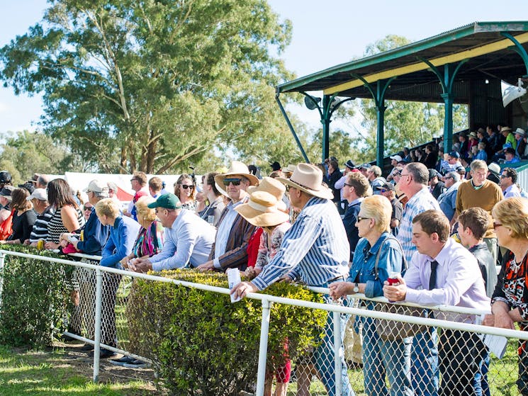 Grenfell Picnic Races