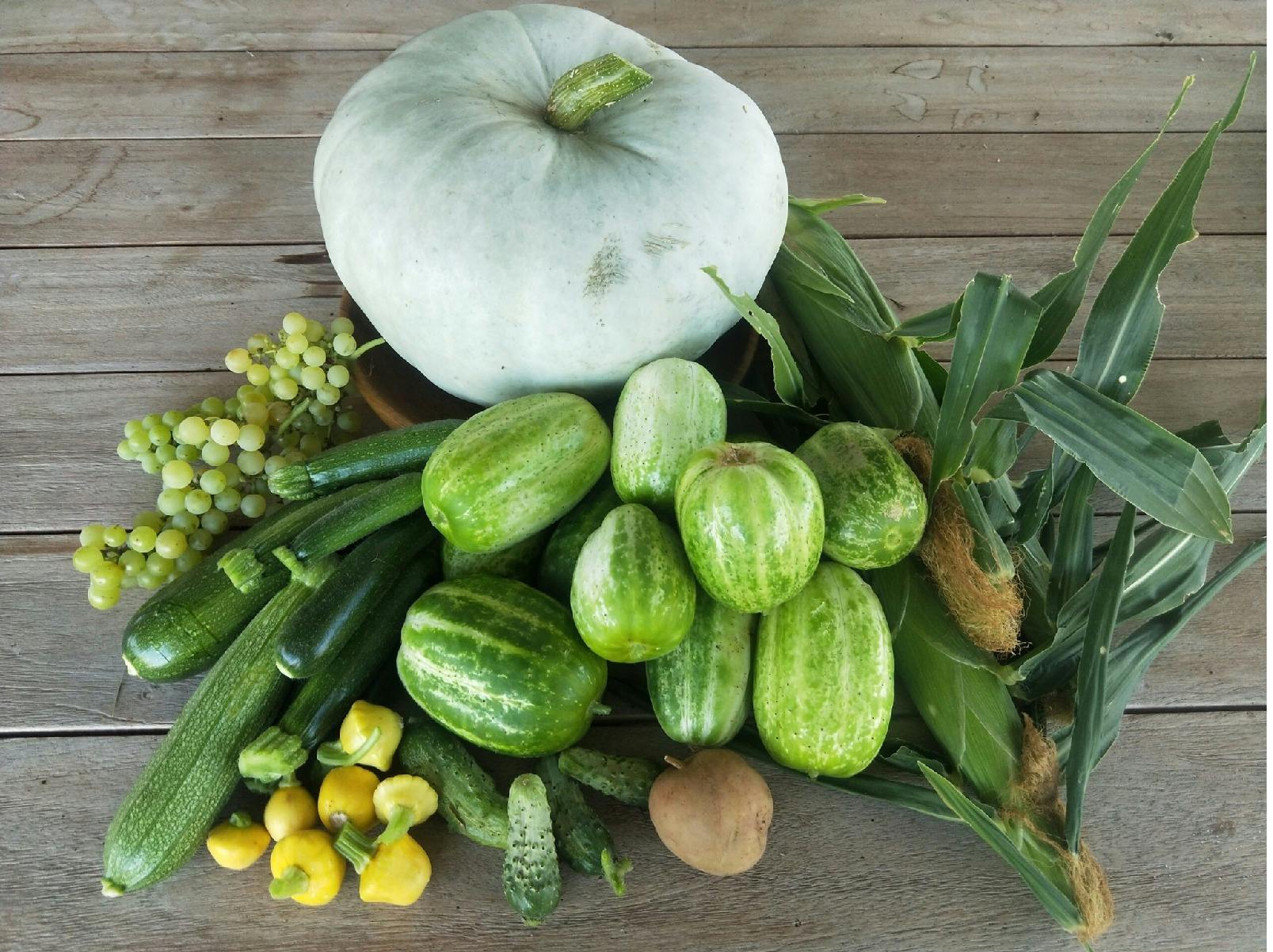 photo of veggies