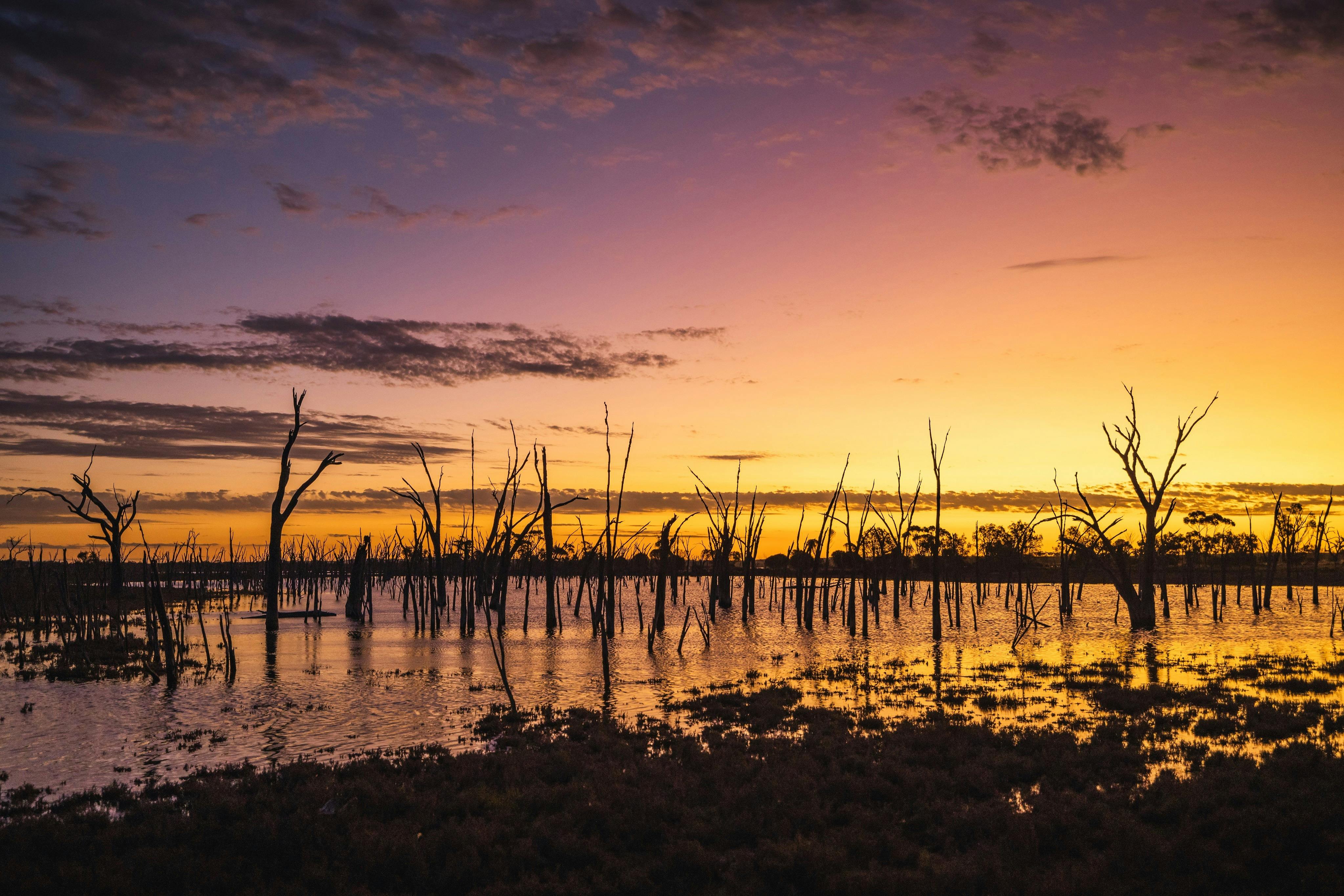 Yenyening Lake Reserve