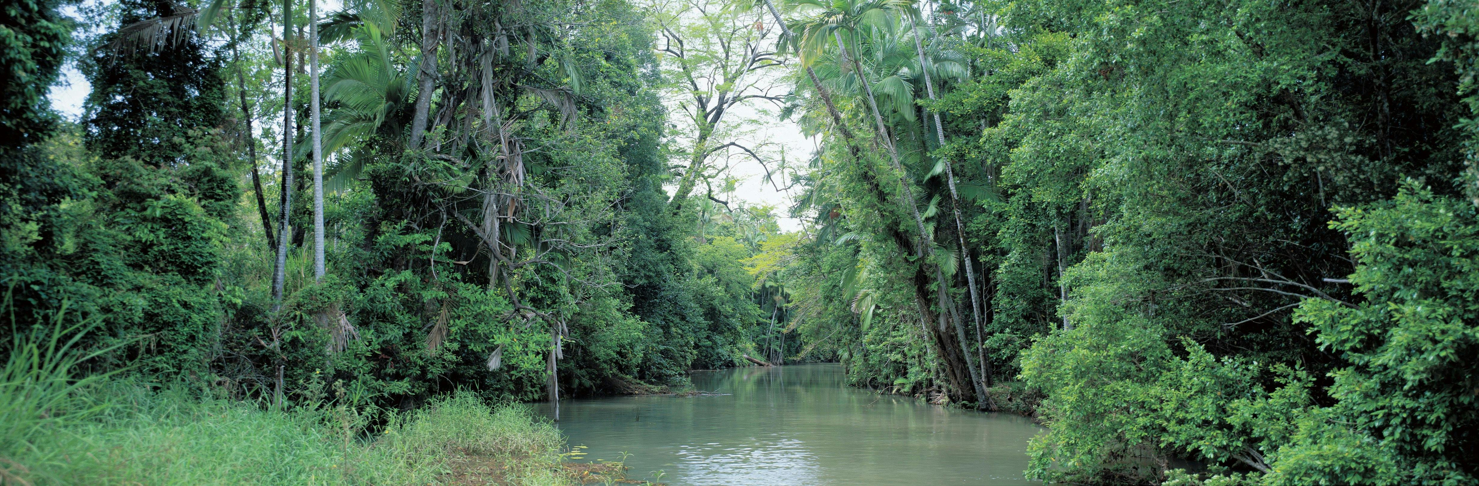 Conway National Park