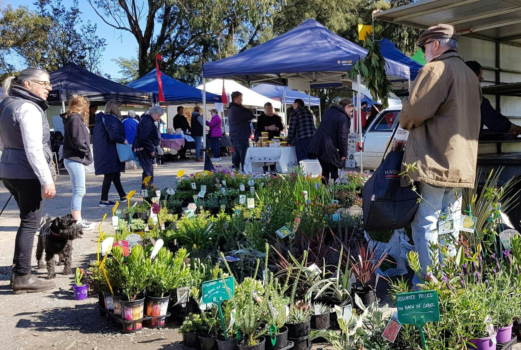 Coal Creek Market - Nursery