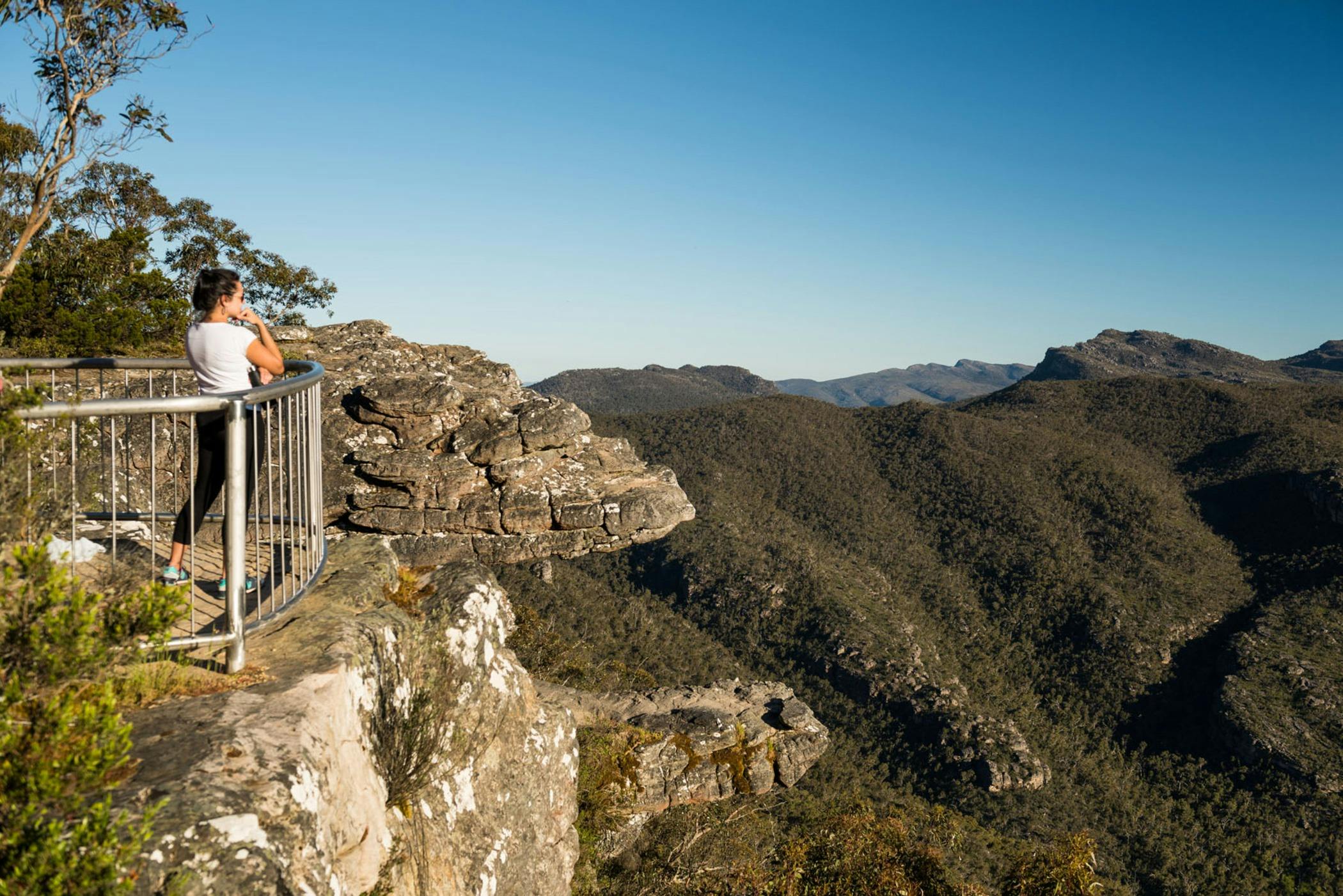 Grampians National Park and Wildlife Tour