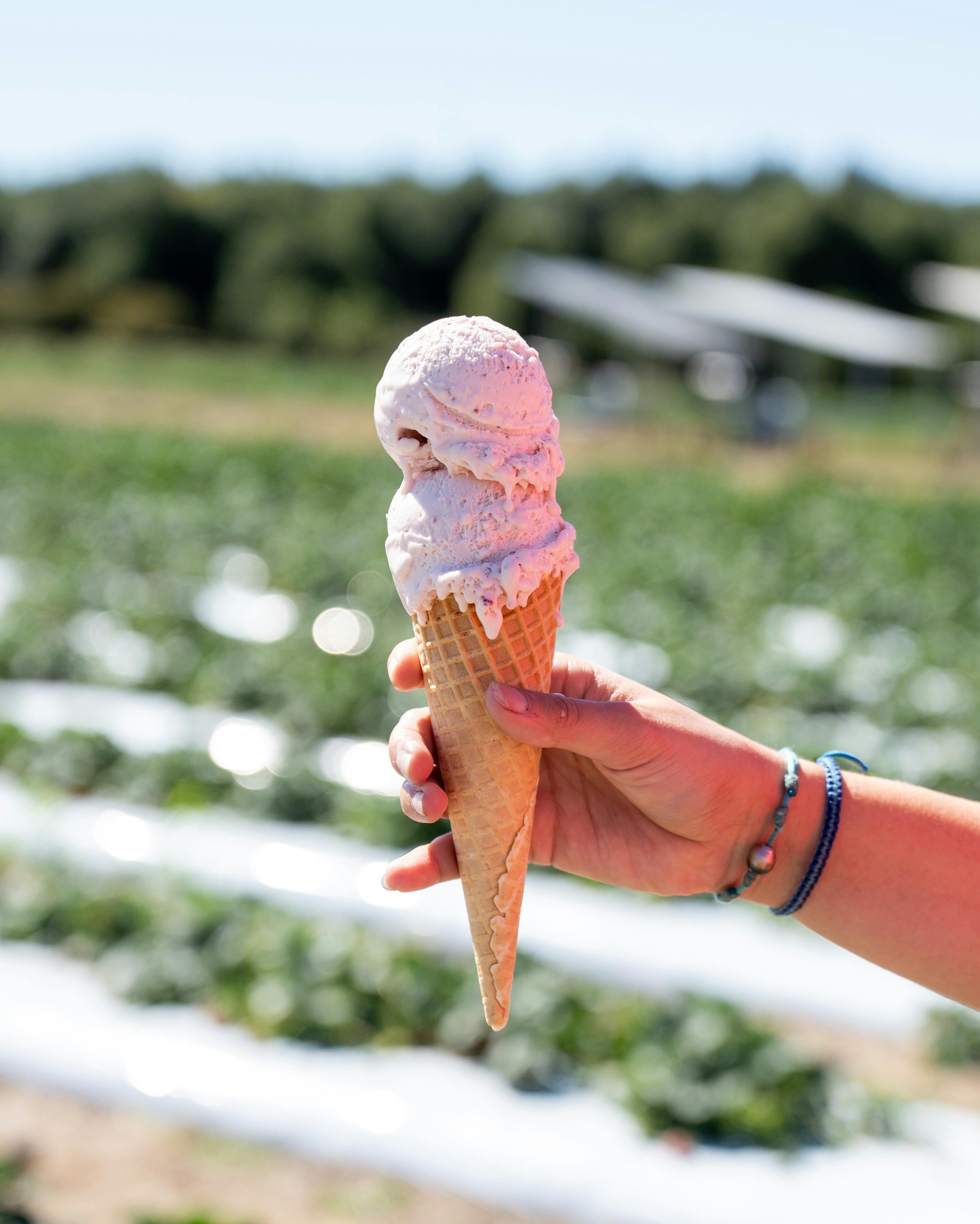 Gelato