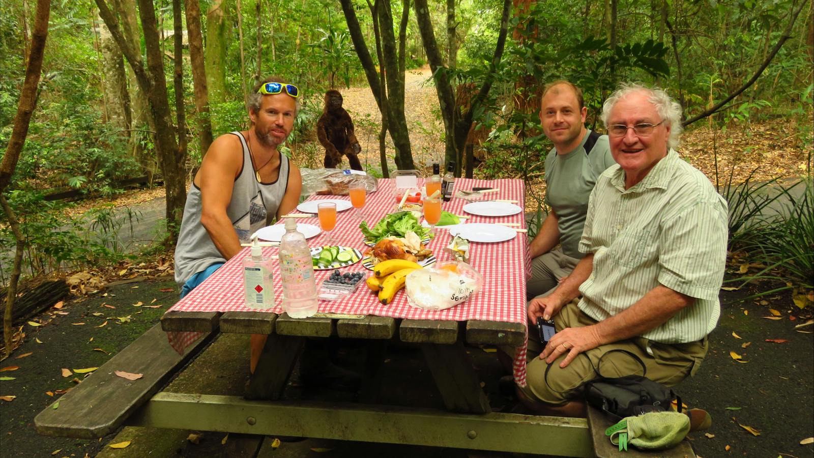 Picnic Lunch