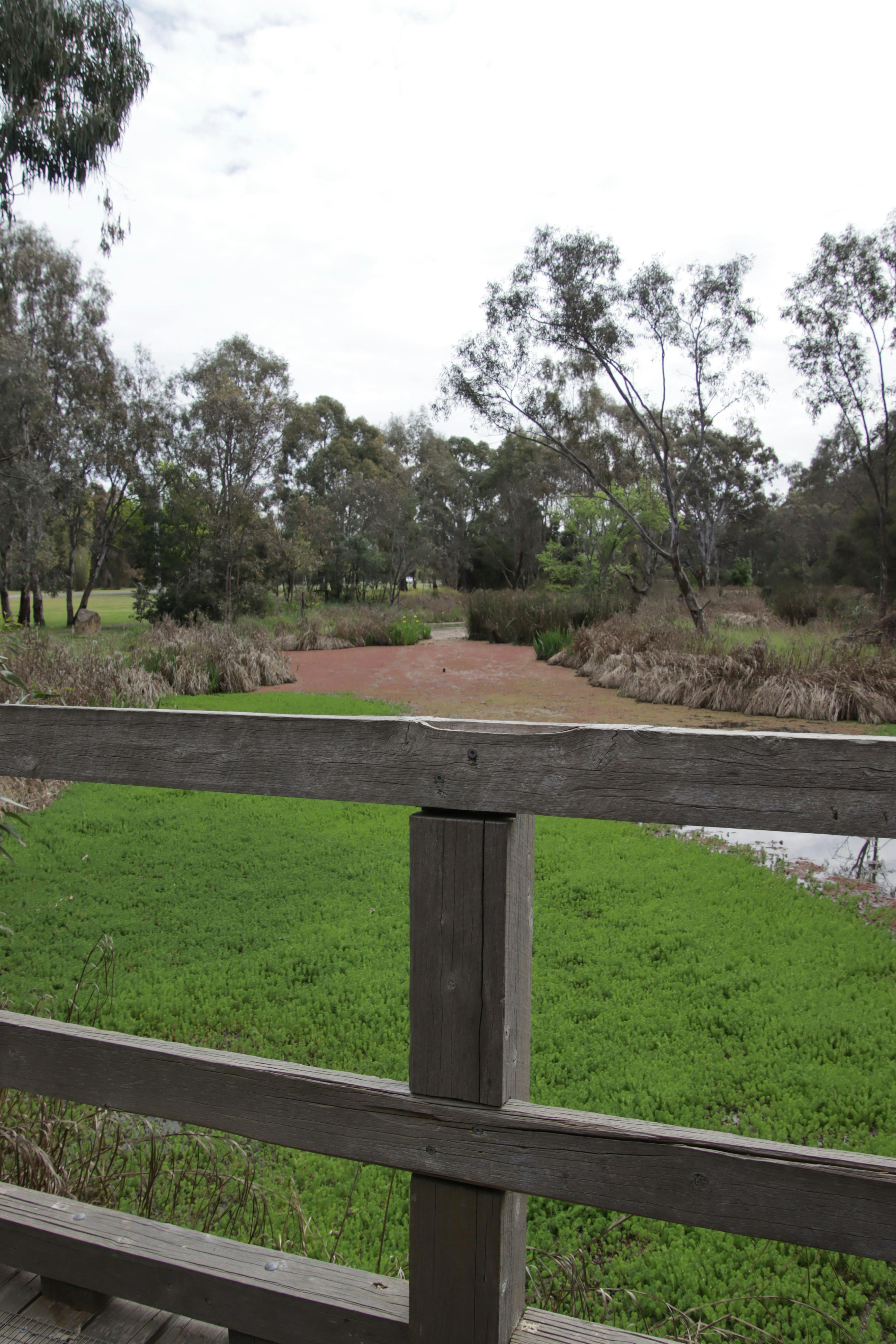 Looking out at the water atop a wooden platform