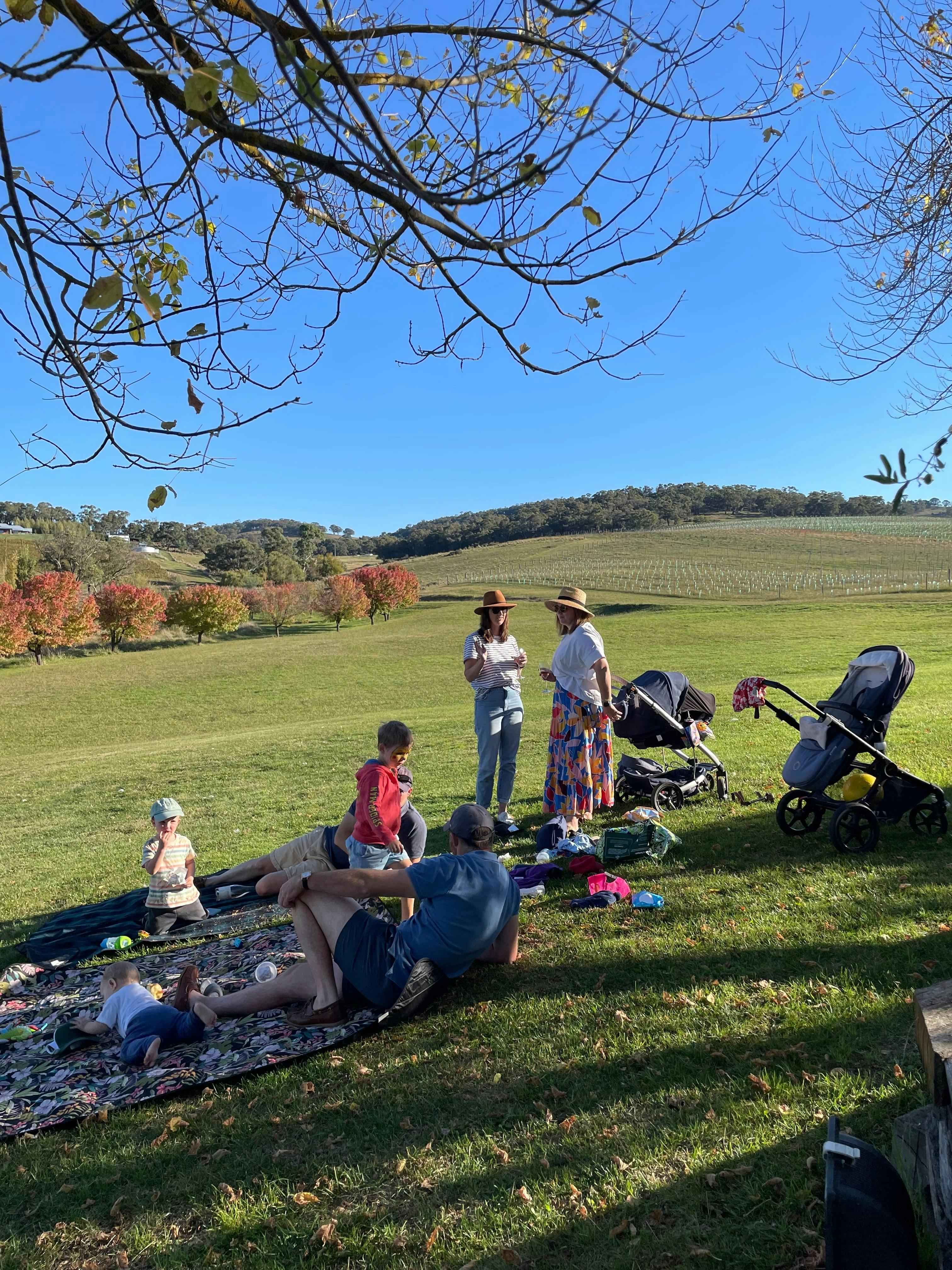 Open grass area next to School House Cellar Door