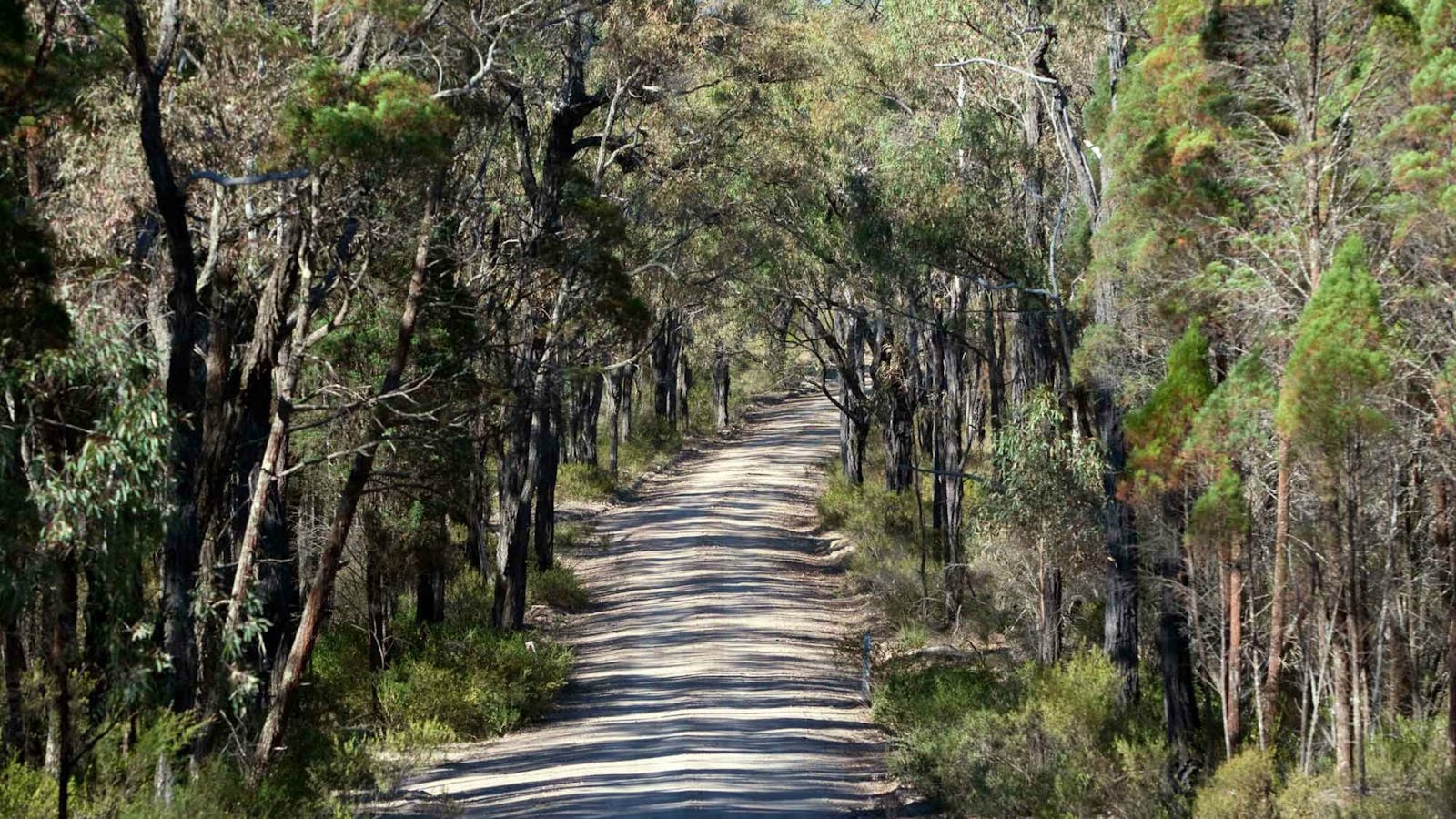 Spring Gully Drive