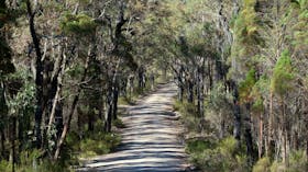 Spring Gully drive, Goulburn River National Park. Photo: Nick Cubbin
