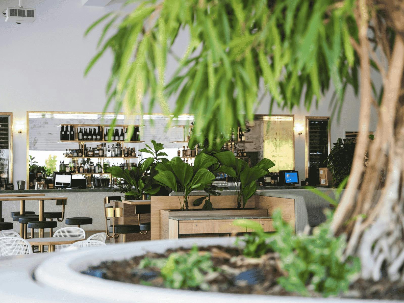 Inside of Flick's bar