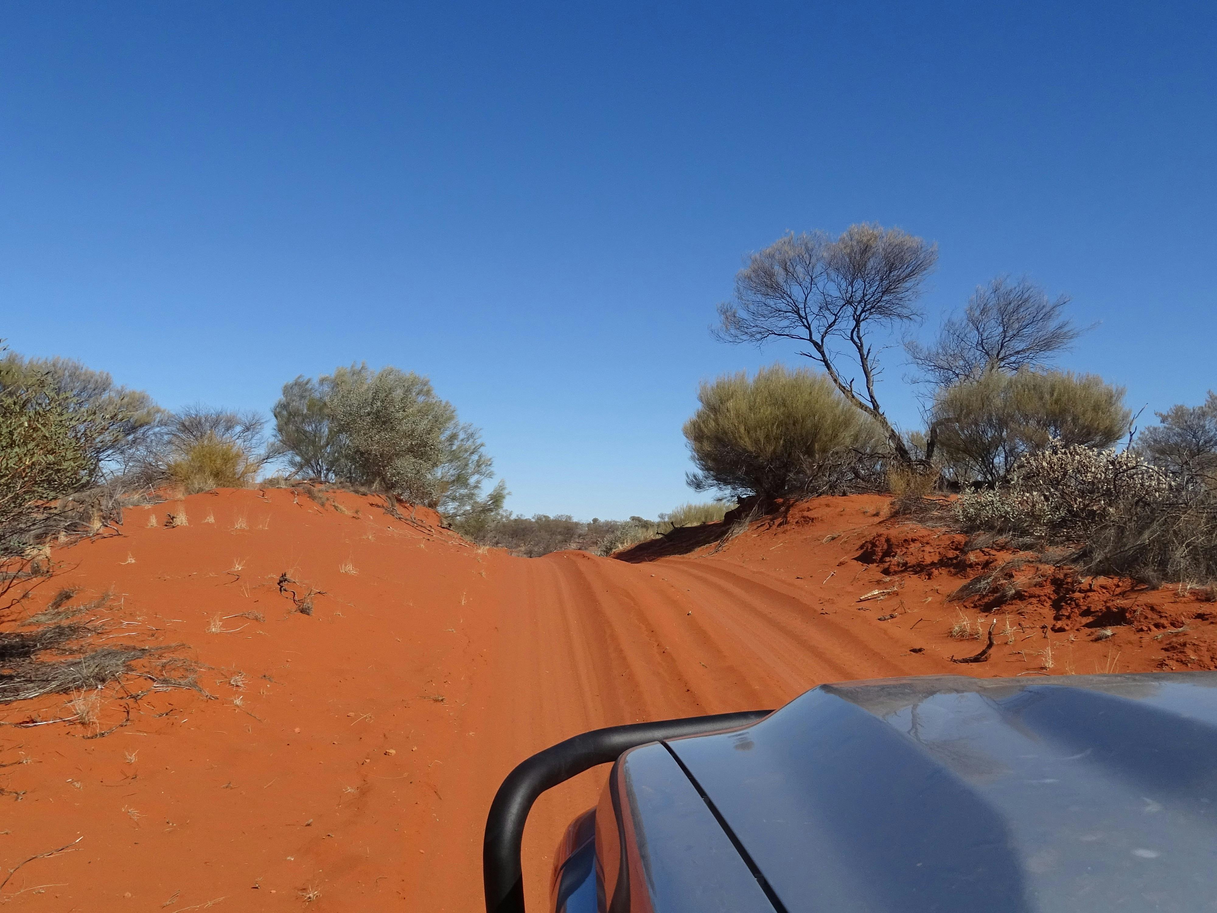 Soft sand dune crossing on the Kennedy Loop track