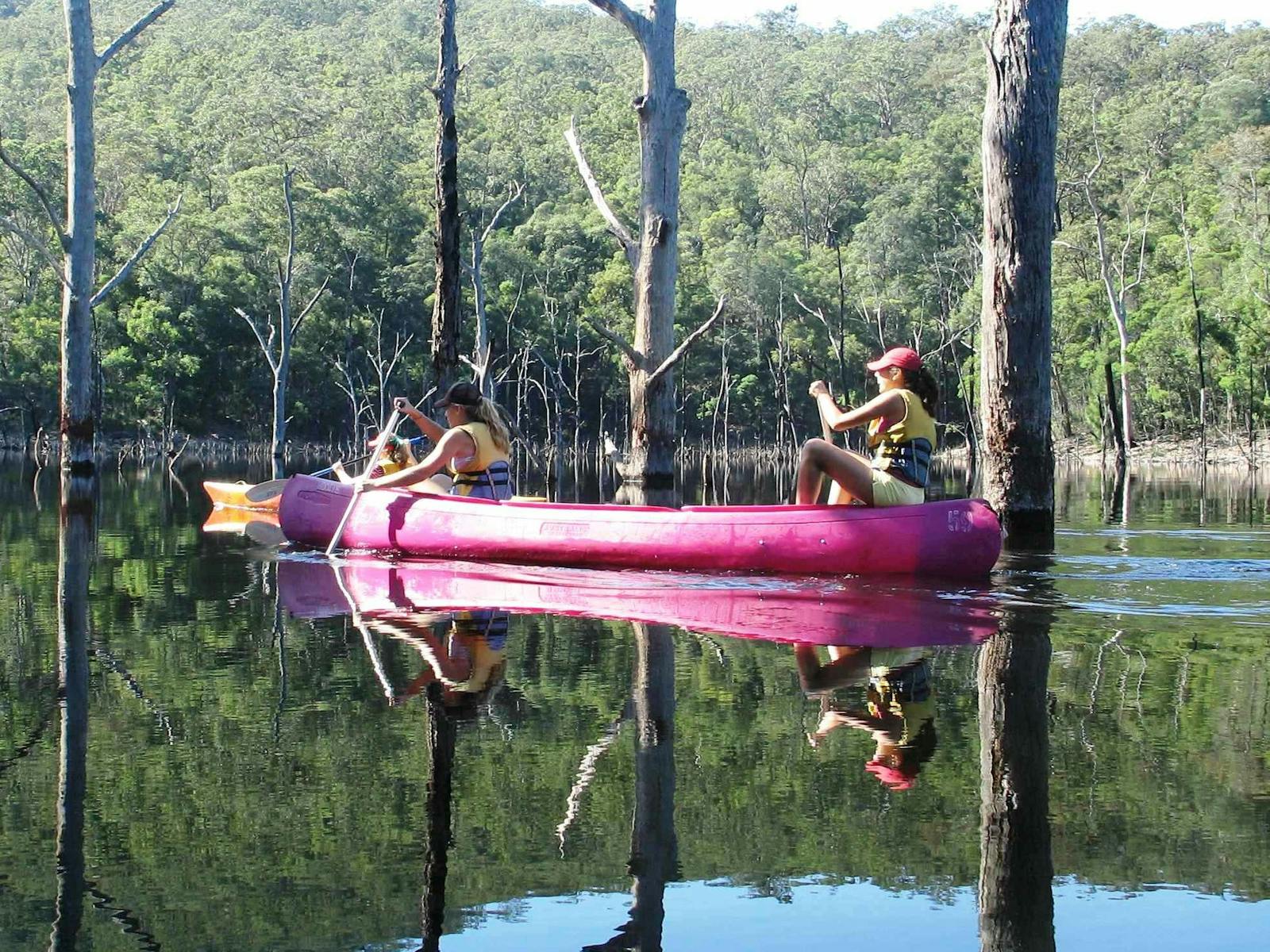 Canoe in Kangaroo Valley