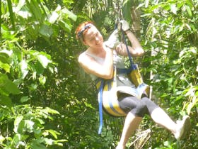 Forest Flying