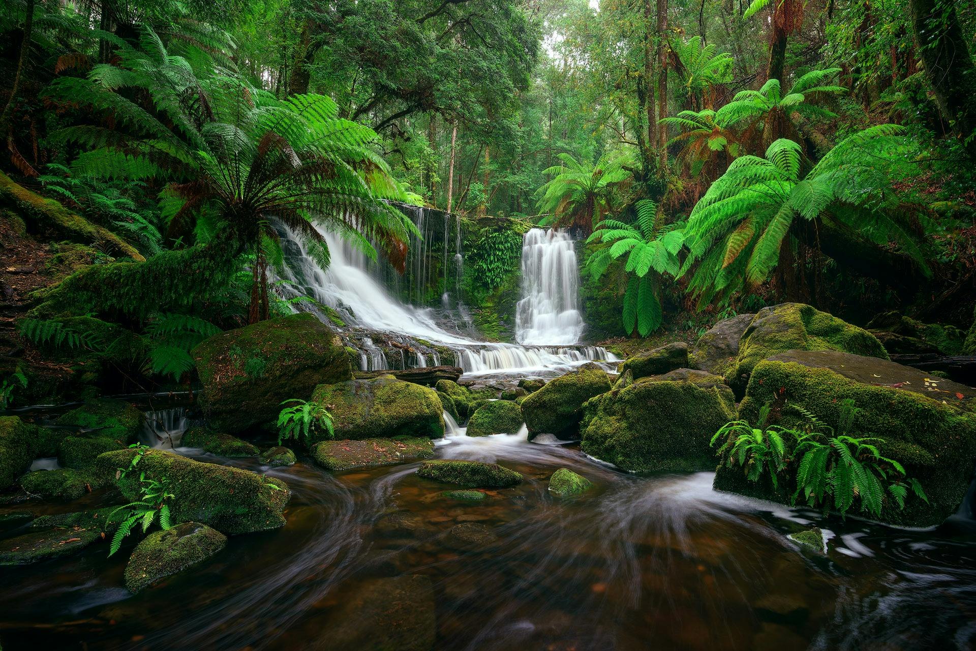 Luke Tscharke - Sunrise to sunset private photography workshop in Southern Tasmania
