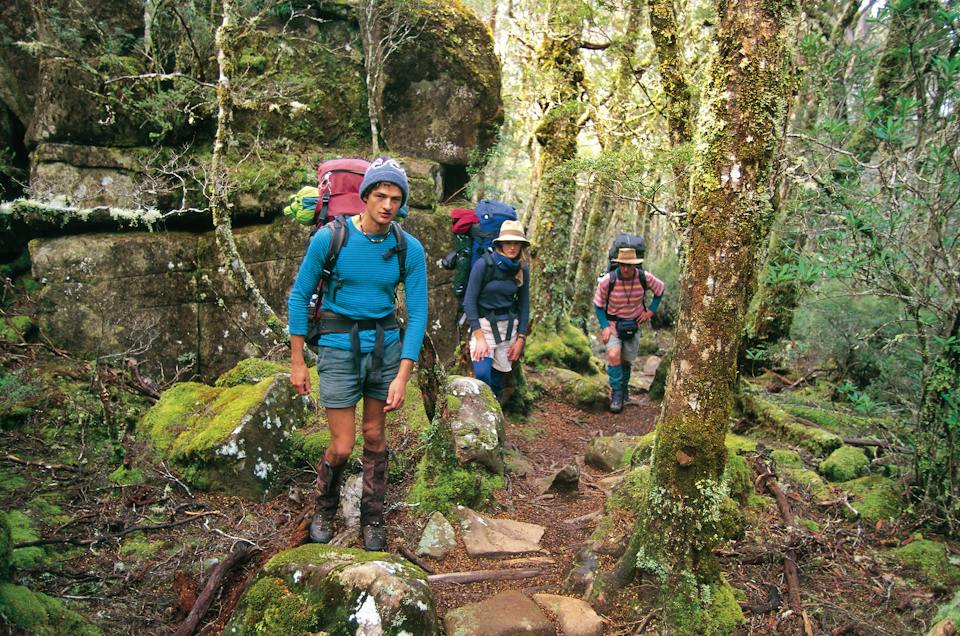 Cradle Mountain Transport Services photo