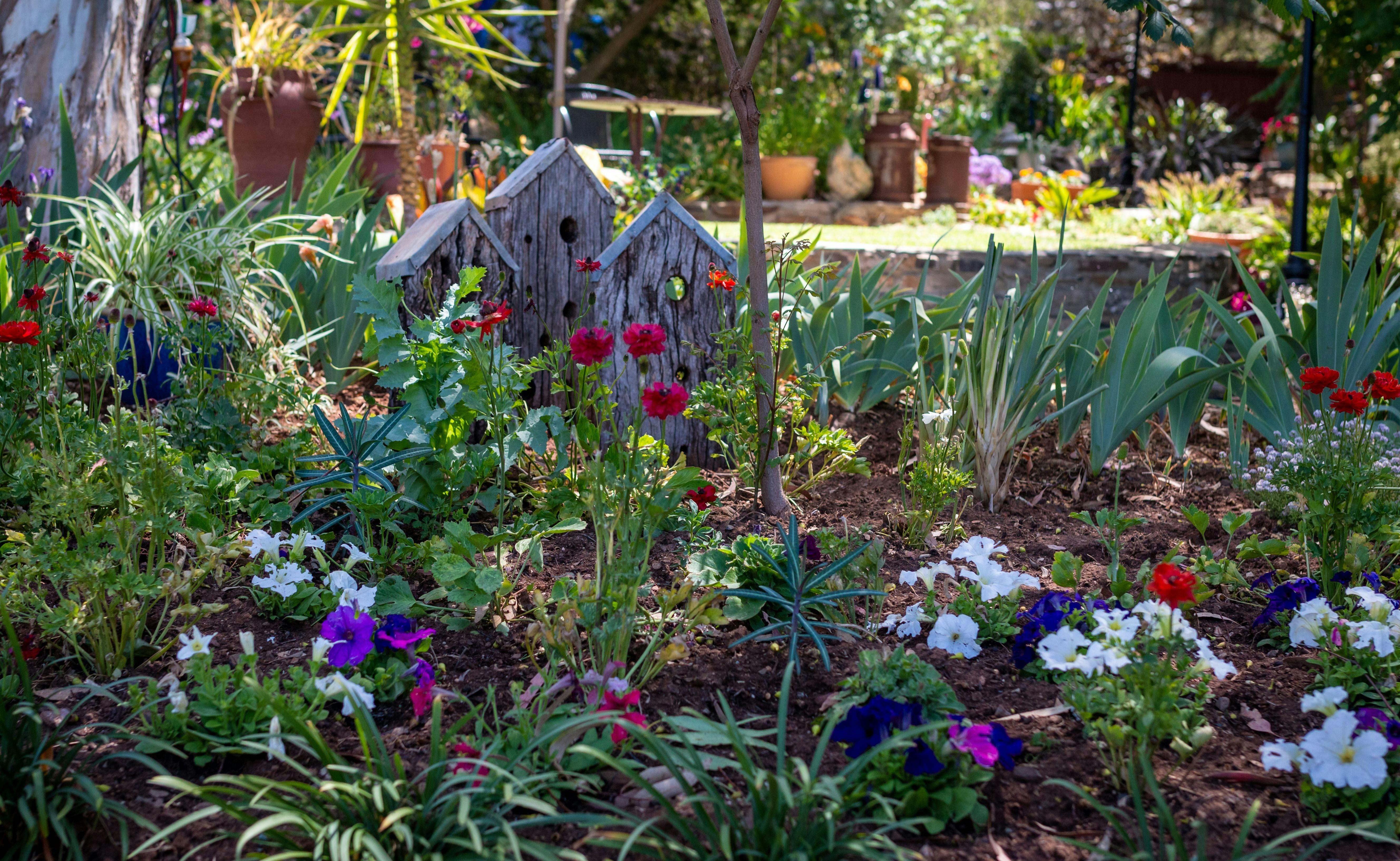 You can never be disappointed when you visit this colourful, welcoming and ever popular garden