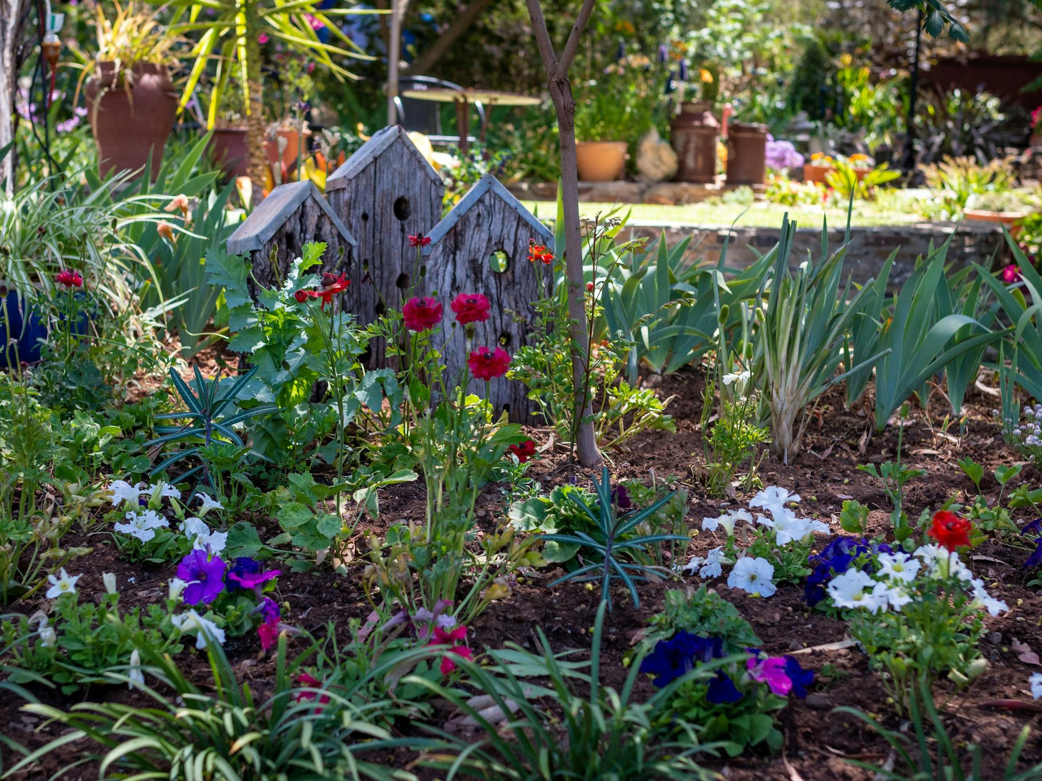 You can never be disappointed when you visit this colourful, welcoming and ever popular garden