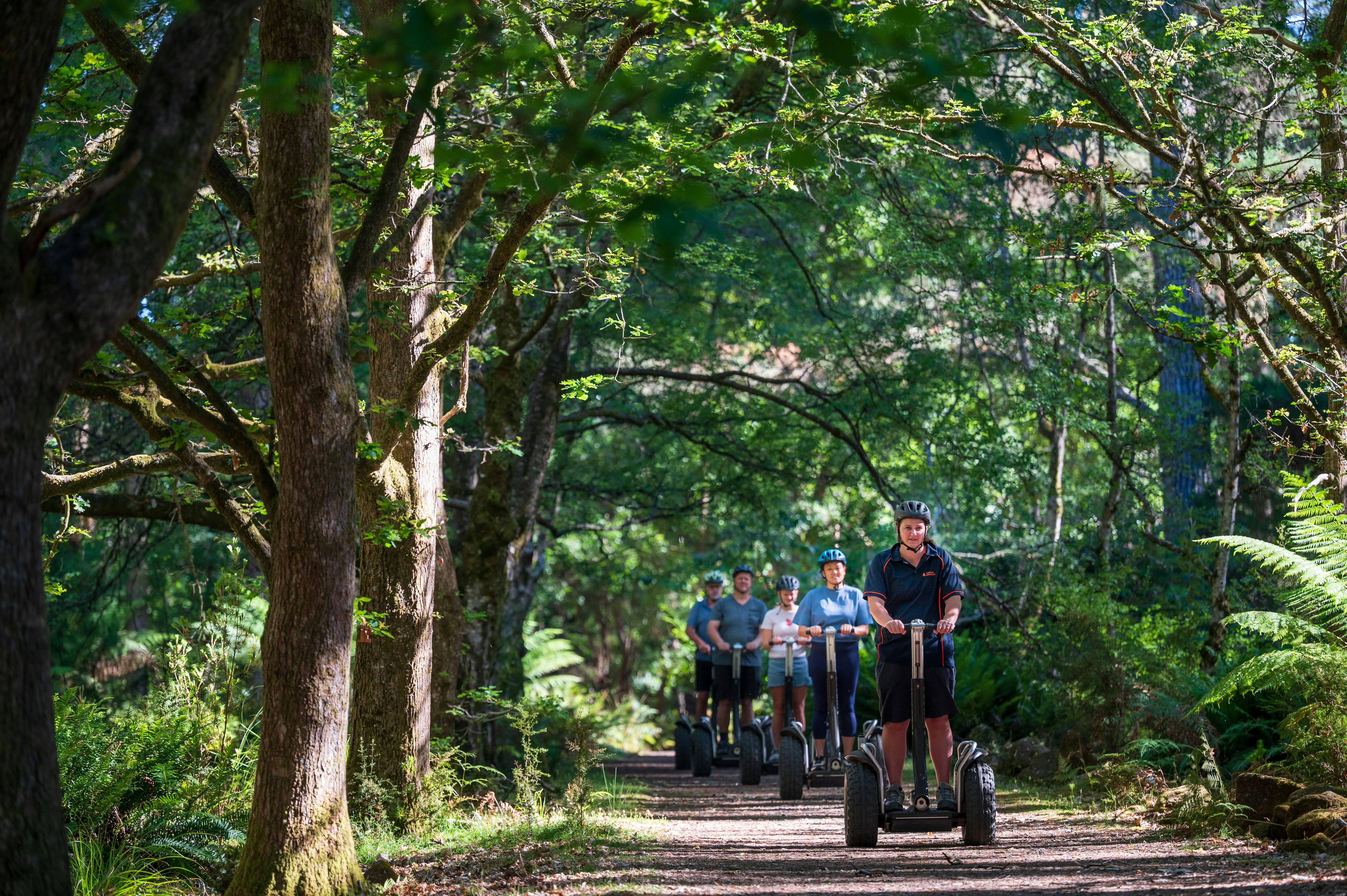 Treetops Hollybank Segway Tour
